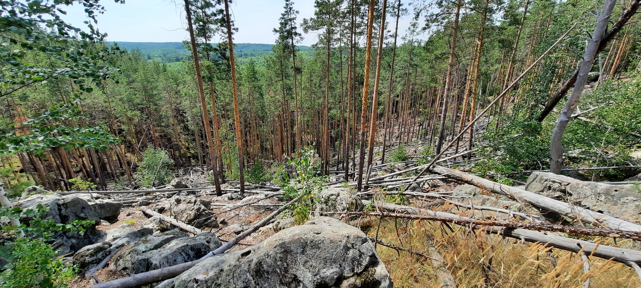 Everyone rests to the extent of their depravity, or the smart one will not go uphill - My, Relaxation, Travels, Travel across Russia, Vacation, Samarskaya luka, Zhiguli Mountains, Racheach alps, Video, Vertical video, Longpost