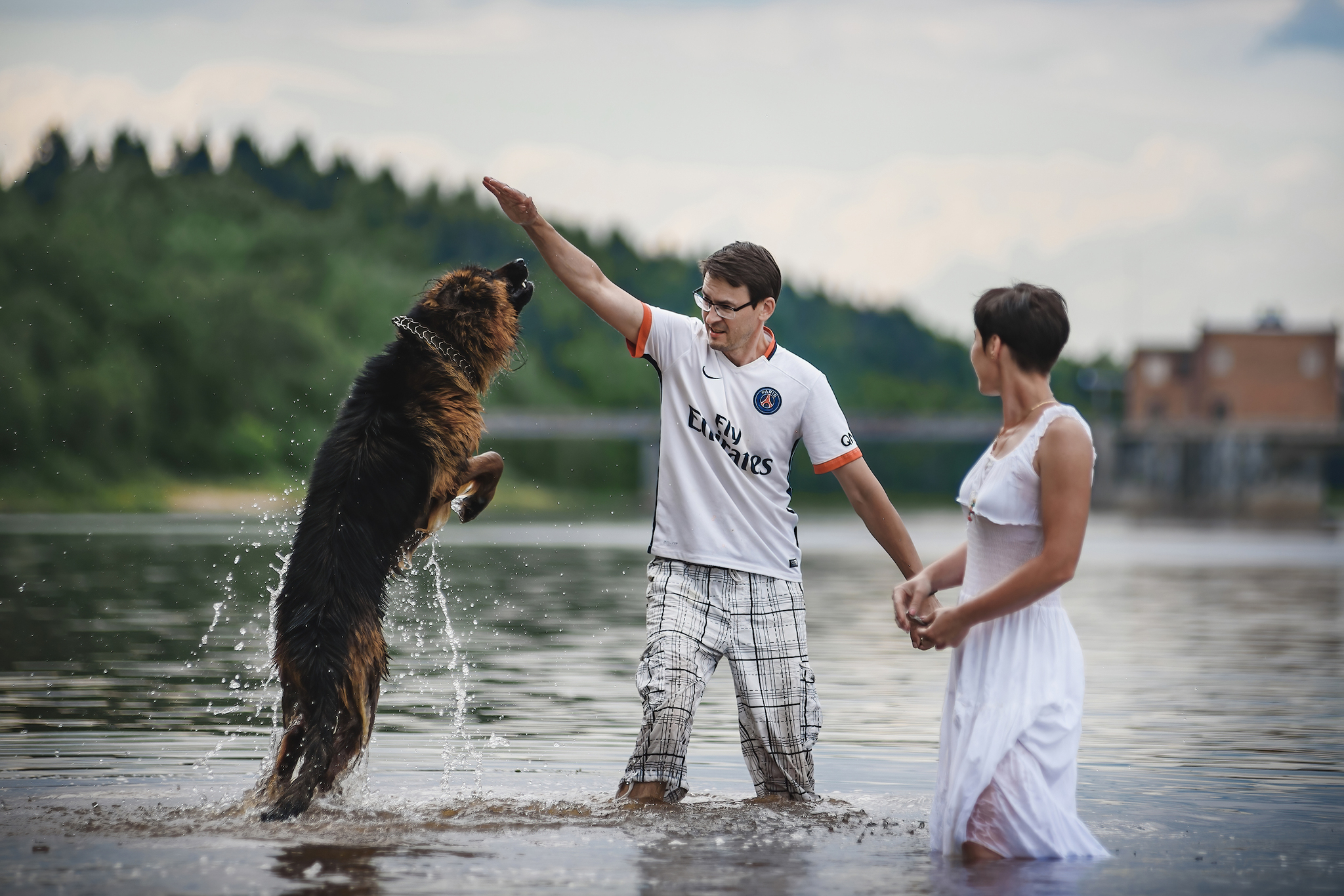 Kron on the Volga)) - My, The photo, Pets, Dog, German Shepherd, Volga river, Tutaev, Yaroslavskaya oblast, Summer, Longpost