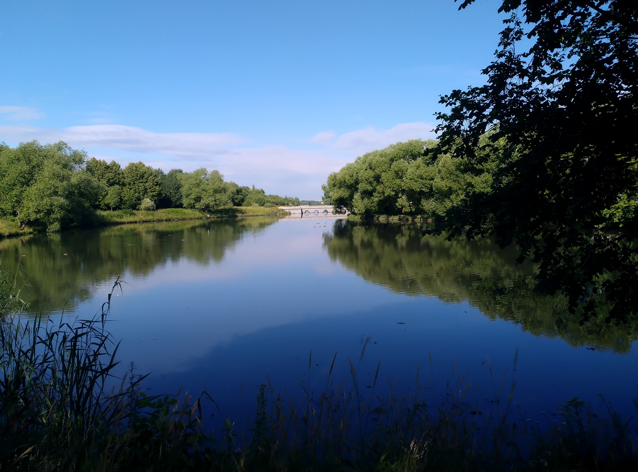 Bicycle route in the South-West of St. Petersburg - My, Bike ride, Saint Petersburg, A bike, Summer, Longpost