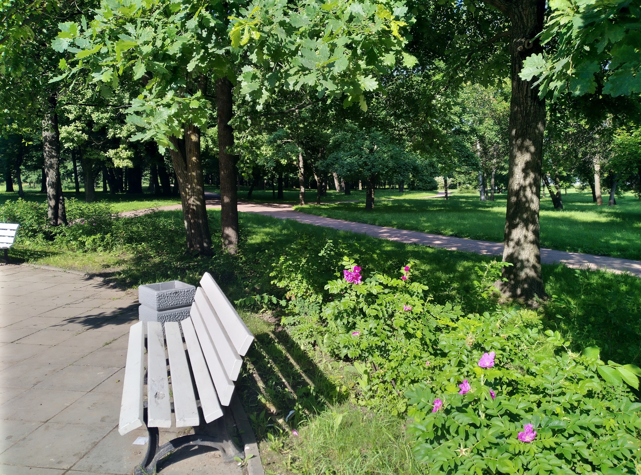 Bicycle route in the South-West of St. Petersburg - My, Bike ride, Saint Petersburg, A bike, Summer, Longpost