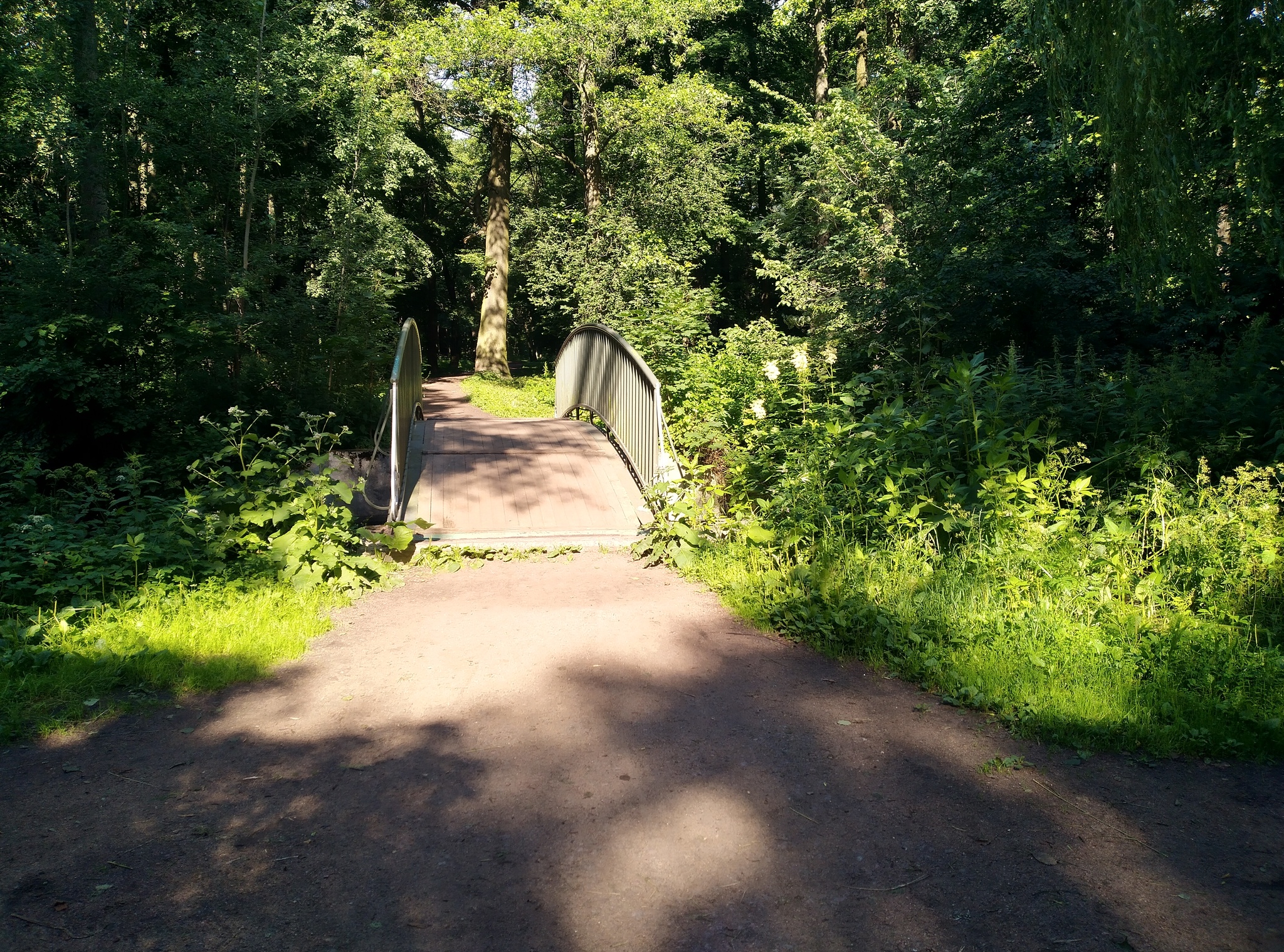 Bicycle route in the South-West of St. Petersburg - My, Bike ride, Saint Petersburg, A bike, Summer, Longpost