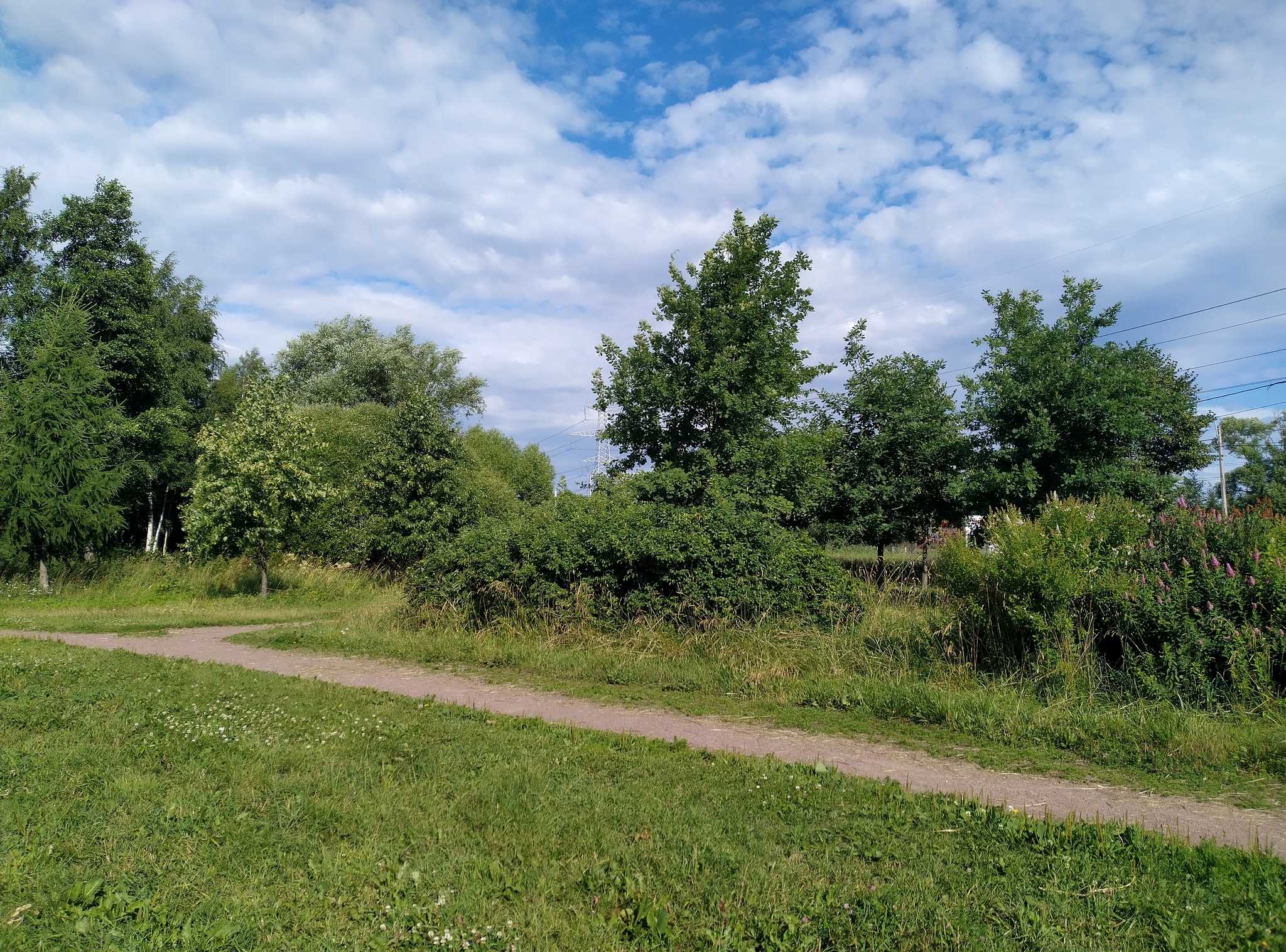 Bicycle route in the South-West of St. Petersburg - My, Bike ride, Saint Petersburg, A bike, Summer, Longpost