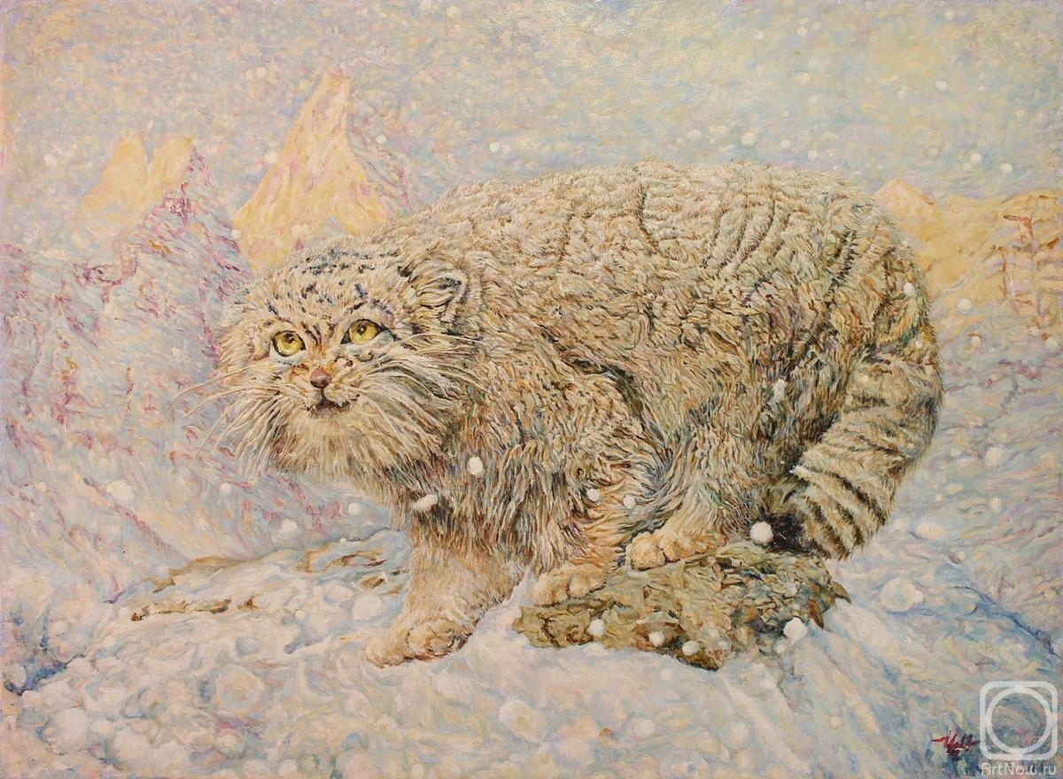 10 manuls of Black Lily - Pallas' cat, Pet the cat, Small cats, Cat family, Painting, Painting, Artist, Animalistics, Longpost