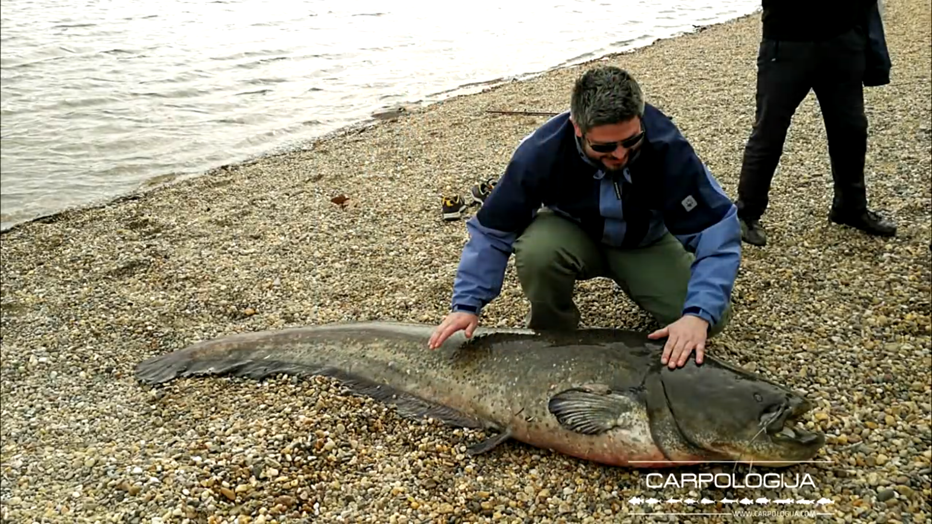 Belgrade Sea. - Lake, Serbia, Belgrade, Hell, Fishermen, Catfish, Beach, Bathing, Tan, Relaxation, Pike, Jellyfish, Turtle, Health, Bath, A boat, Fishing, Diving, Underwater photography, Scuba diving, Video, Youtube, Longpost