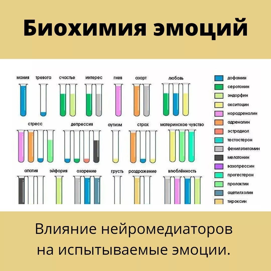 Биохимия эмоций презентация