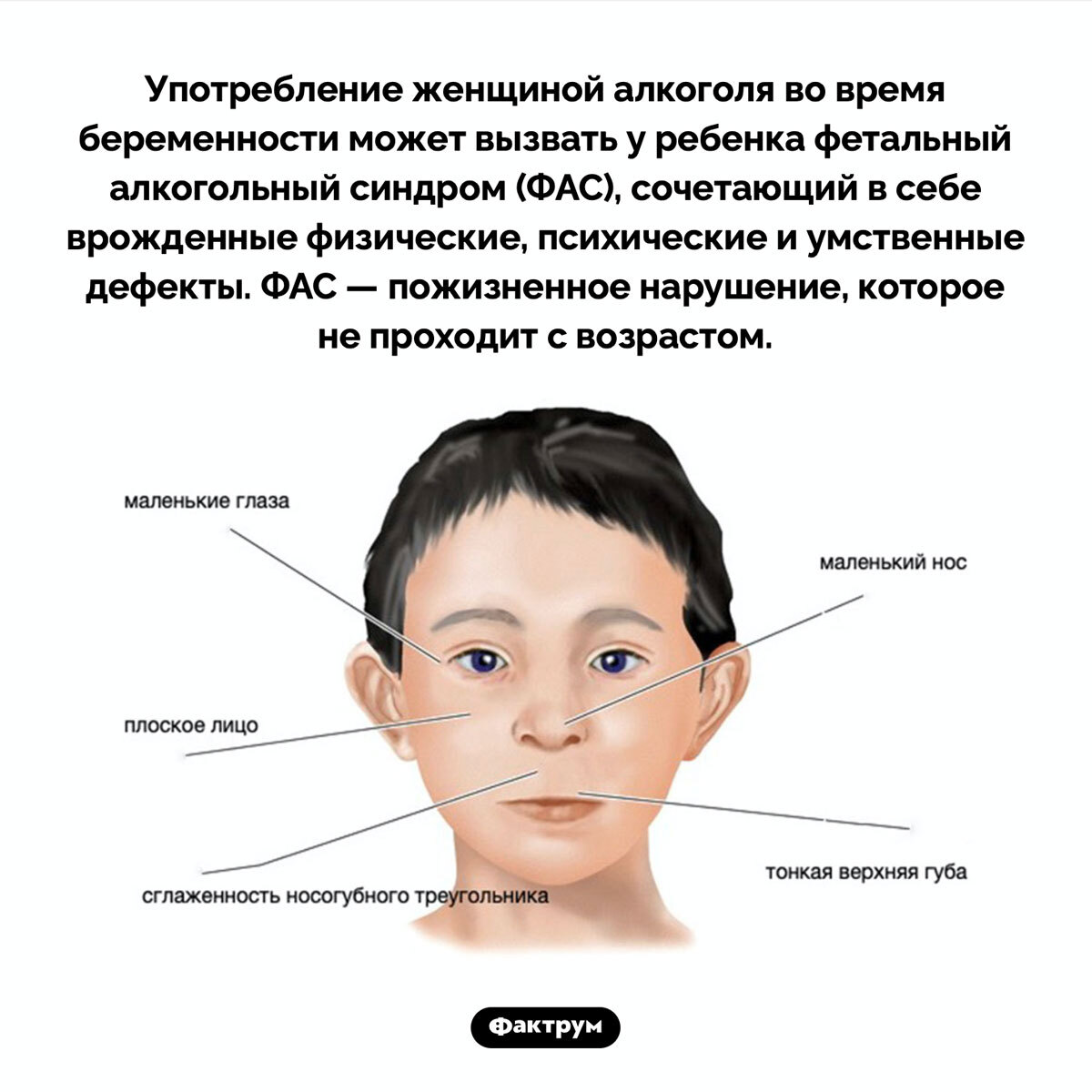 Подборка интересных фактов № 91 - Подборка, Картинка с текстом, Факты, Познавательно, Фактрум, Длиннопост