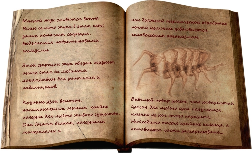 Bestiary from the world of Gothic - Gothic, Gothic, Gothic 2, Gothic 3, The Chronicles of Myrtana, Fantasy, Bestiary, Golem, Troll, Harpy, Wolf, Computer games, Lore of the universe, Longpost