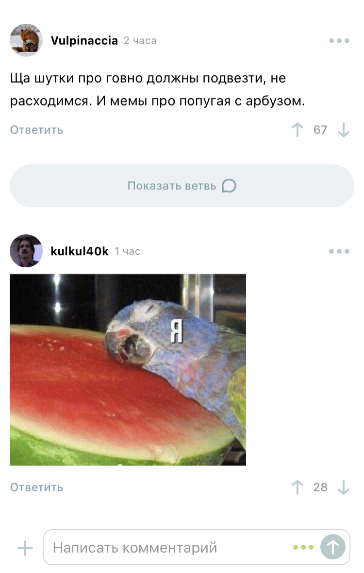 A parrot with a watermelon was brought up - Memes, A parrot, Humor, Comments, Screenshot, Comments on Peekaboo