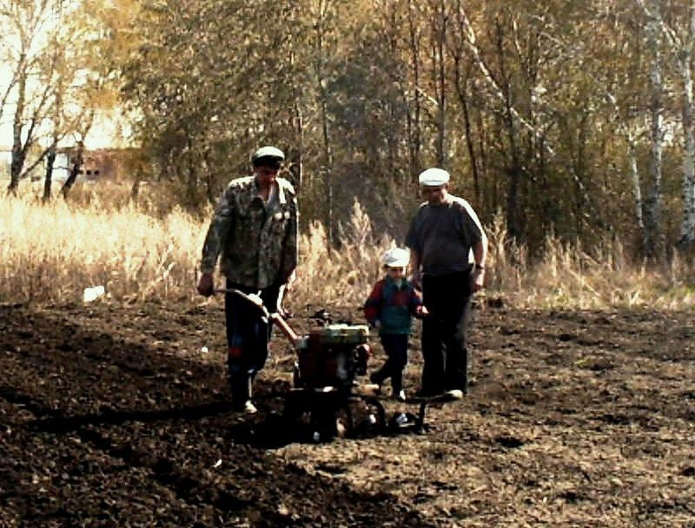 The continuity of generations. - The photo, Family, Land, Generation