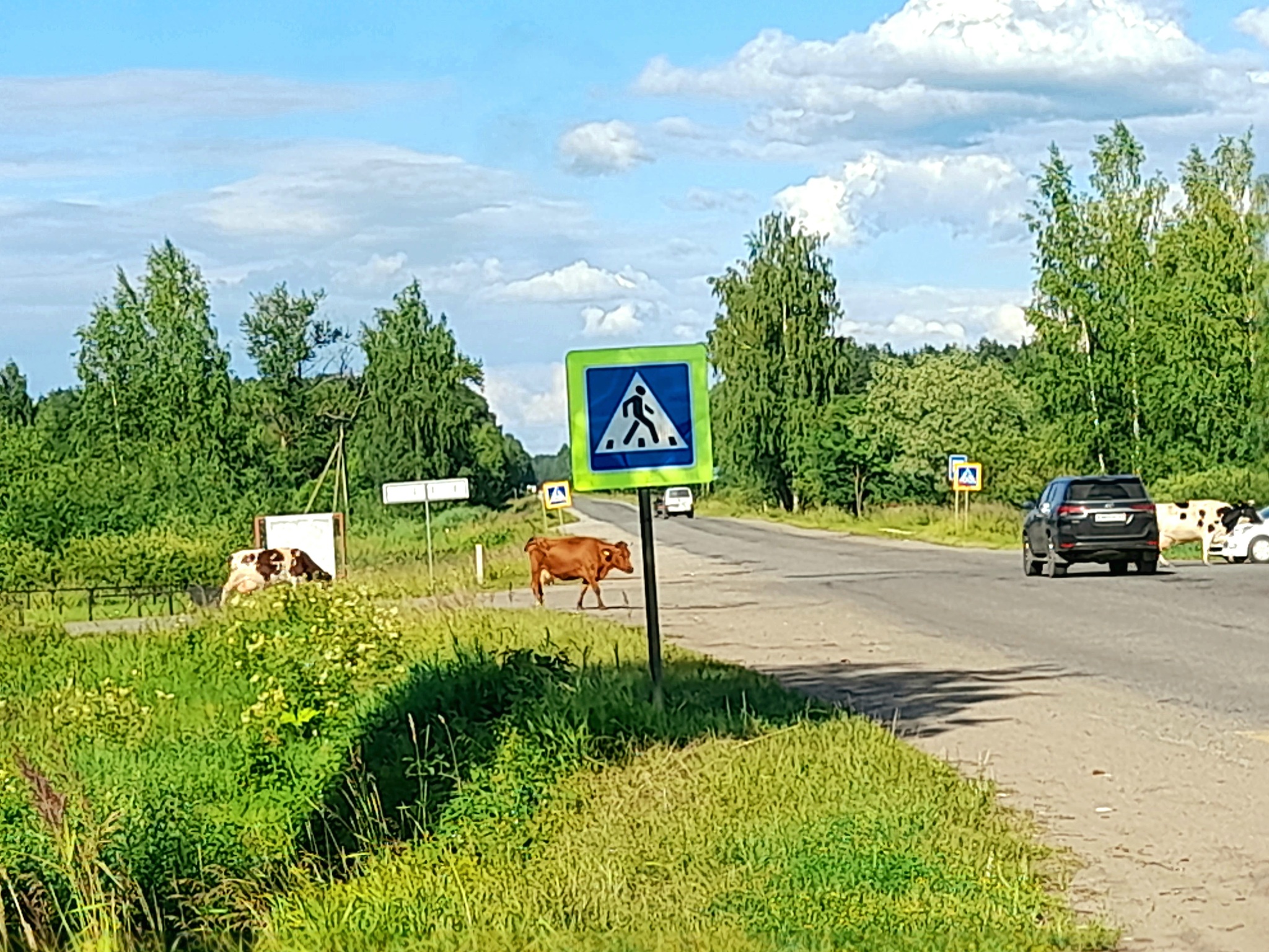 Путешествие из Петербурга в Москву на велосипедах (день 7) - Моё, Велосипед, Туризм, Путешествие по России, Длиннопост