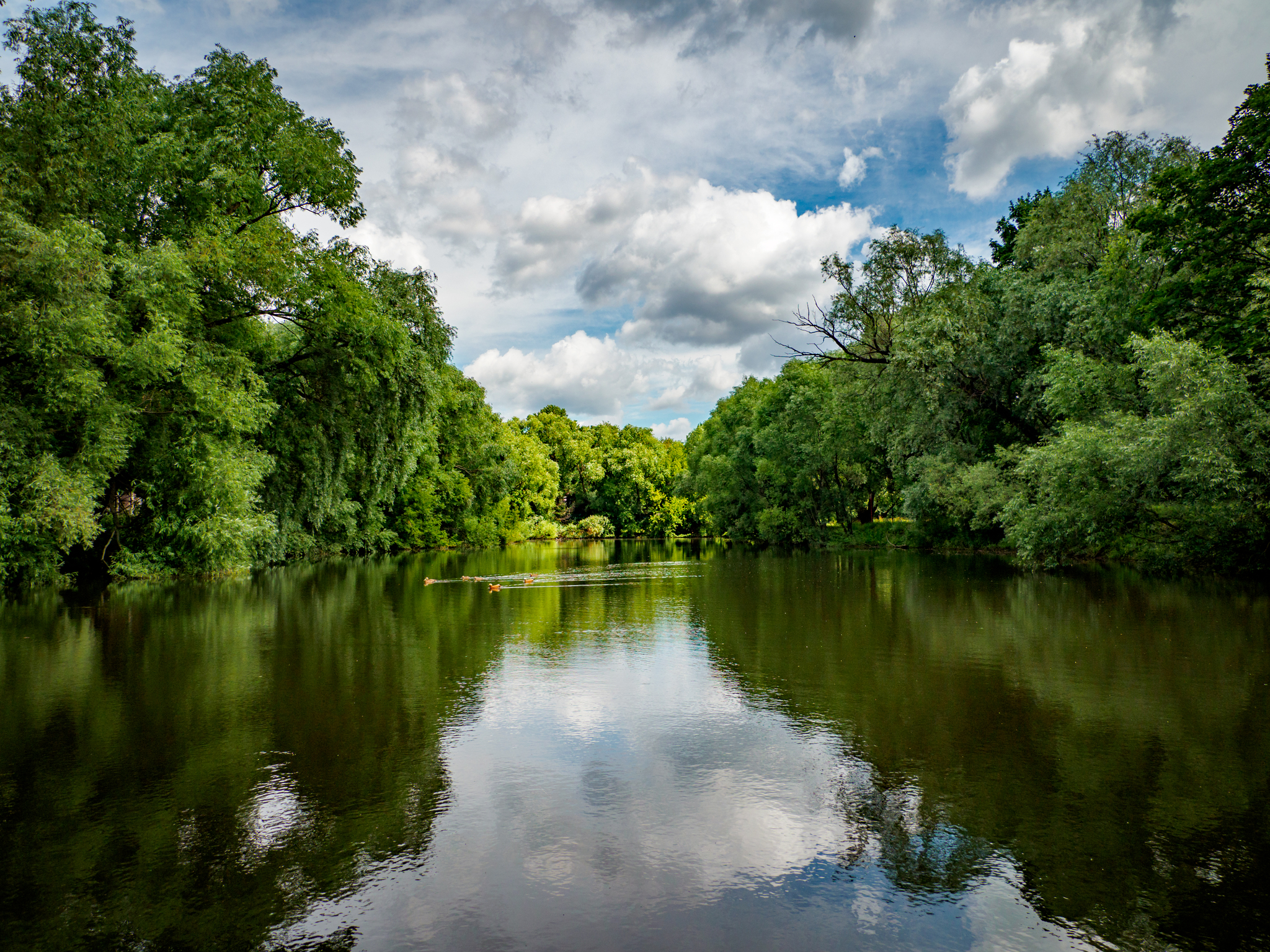 природа москва река