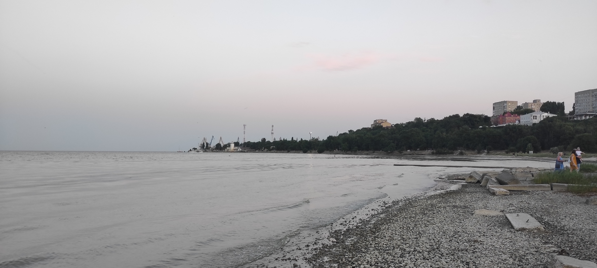 Livestock in Taganrog - My, Taganrog, Taganrog Bay, Mosquitoes, Video, Longpost