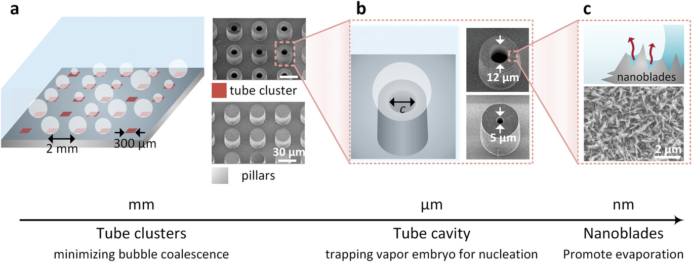 Scientists have invented a way to speed up the boiling of water - Physics, Technics, Experiment, Energy, Energy, Inventions, GIF