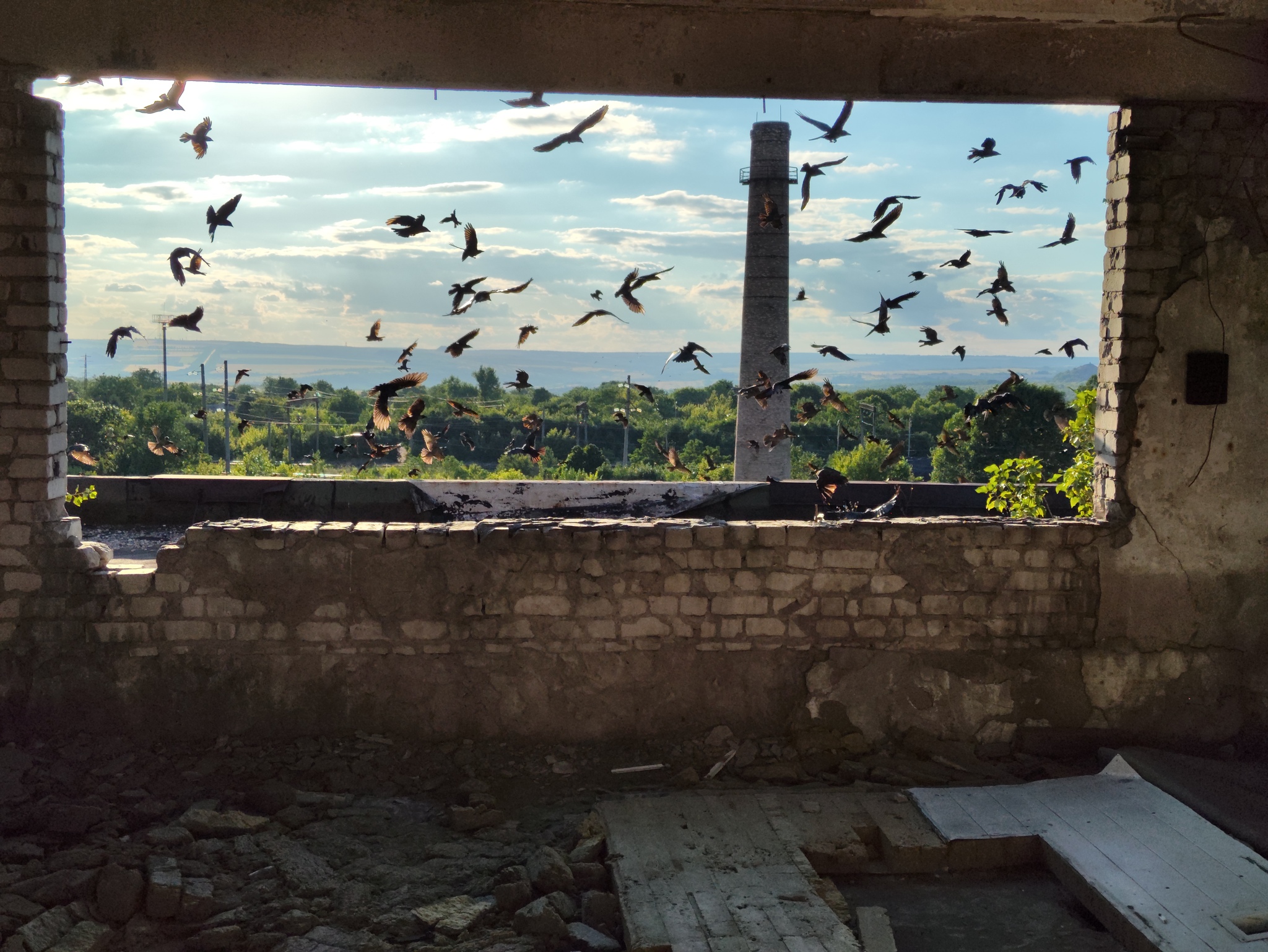 Do not go out - My, Mobile photography, Landscape, Urbanphoto, Abandoned factory