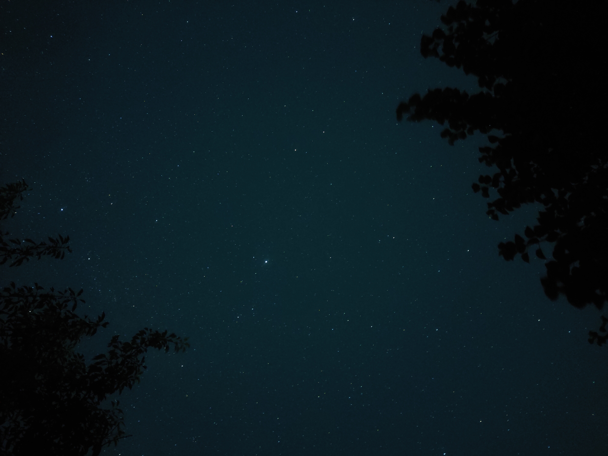 Can this be called a professional photo? - My, Longpost, Mobile photography, Starry sky