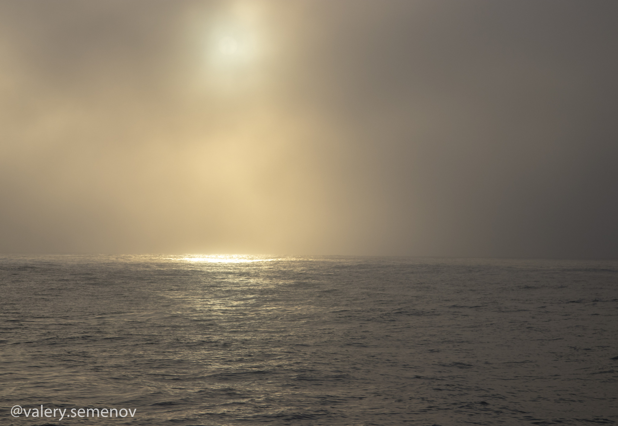 To Franz Josef Land. - My, Arctic, Expedition, New earth, Sail, Longpost