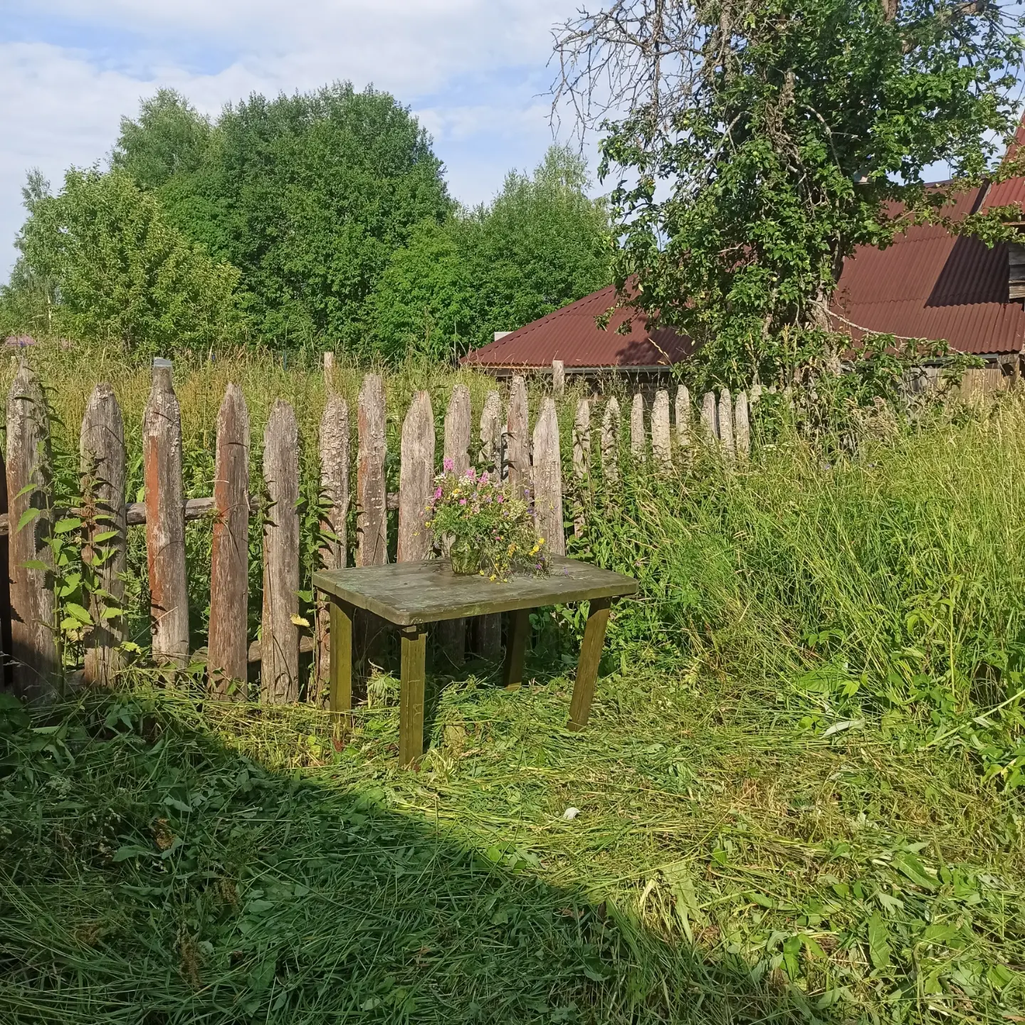 Wildflowers - My, Flowers, Painting, Wildflowers, Field, Village, Bezhetsk, Tver region, Plein air, Longpost