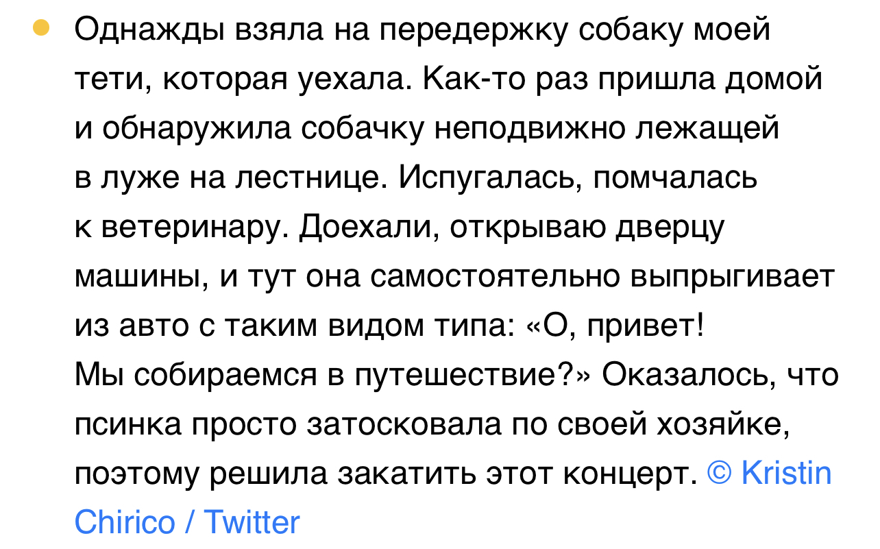 Все мы иногда немного эта собачка - Скриншот, Twitter, Собака