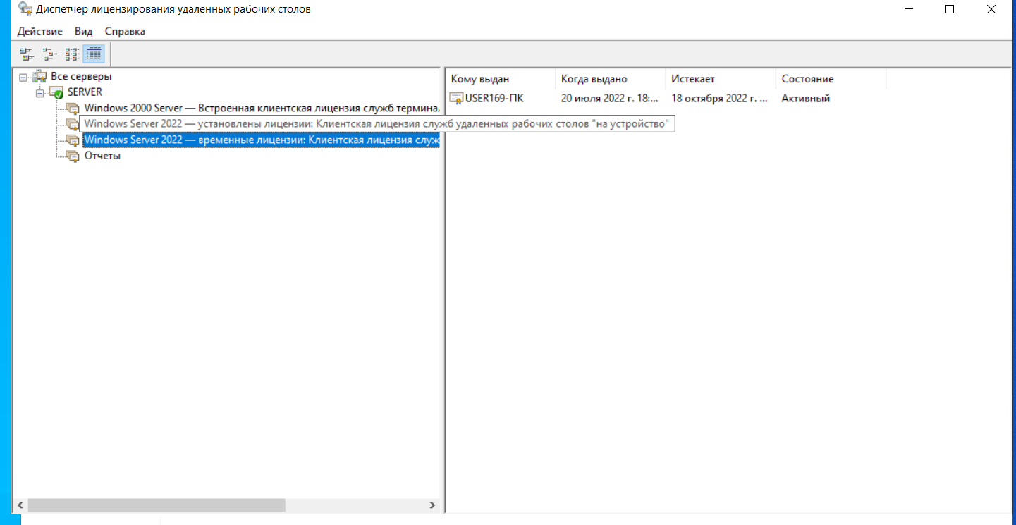 Remote Desktop Services licenses - My, IT, Windows, Computer help