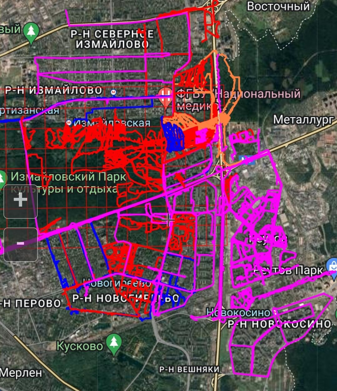 Year long search - My, Lisa Alert, Volunteers, People search, Elderly, Izmailovsky park, Longpost