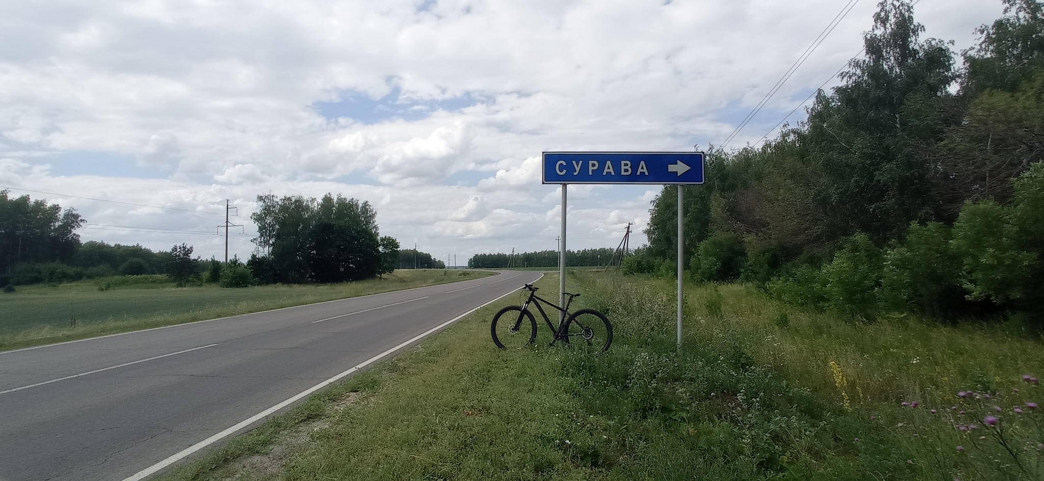 Cycling or No Trespassing Part1 - My, A bike, Cyclist, Stupidity, Bike ride, Tambov, Bike trip, Humor, Workout, Longpost