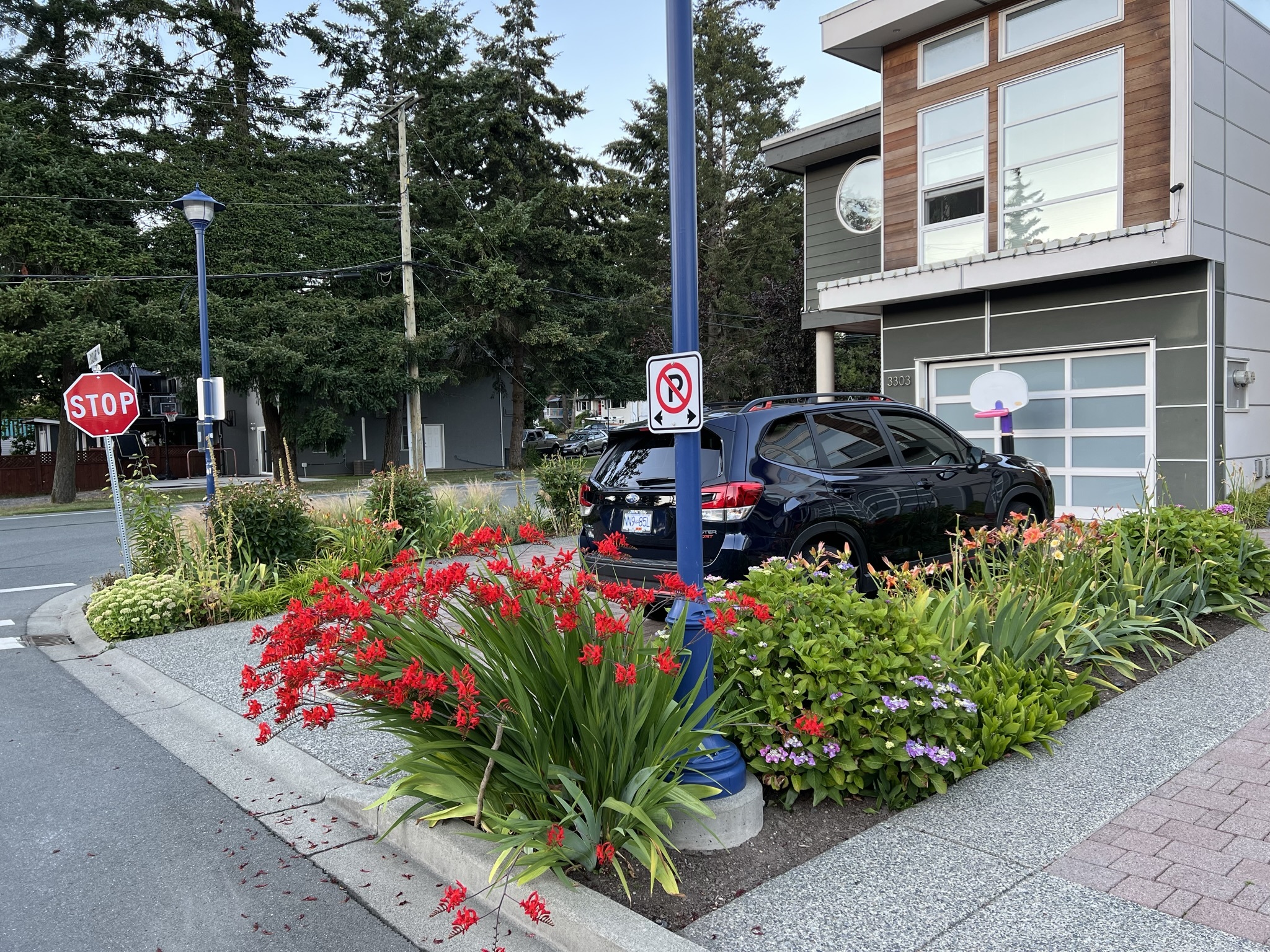 Canada - My, Town, Road, House, Architecture, The street, City walk, Street photography, Evening, Auto, Tesla, A life, Purity, beauty, Canada, Longpost