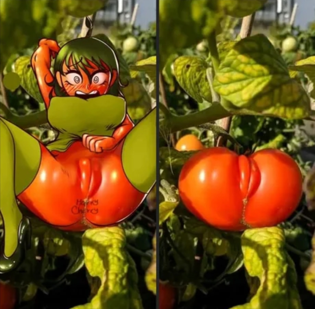 Rotten tomatoes best erotic