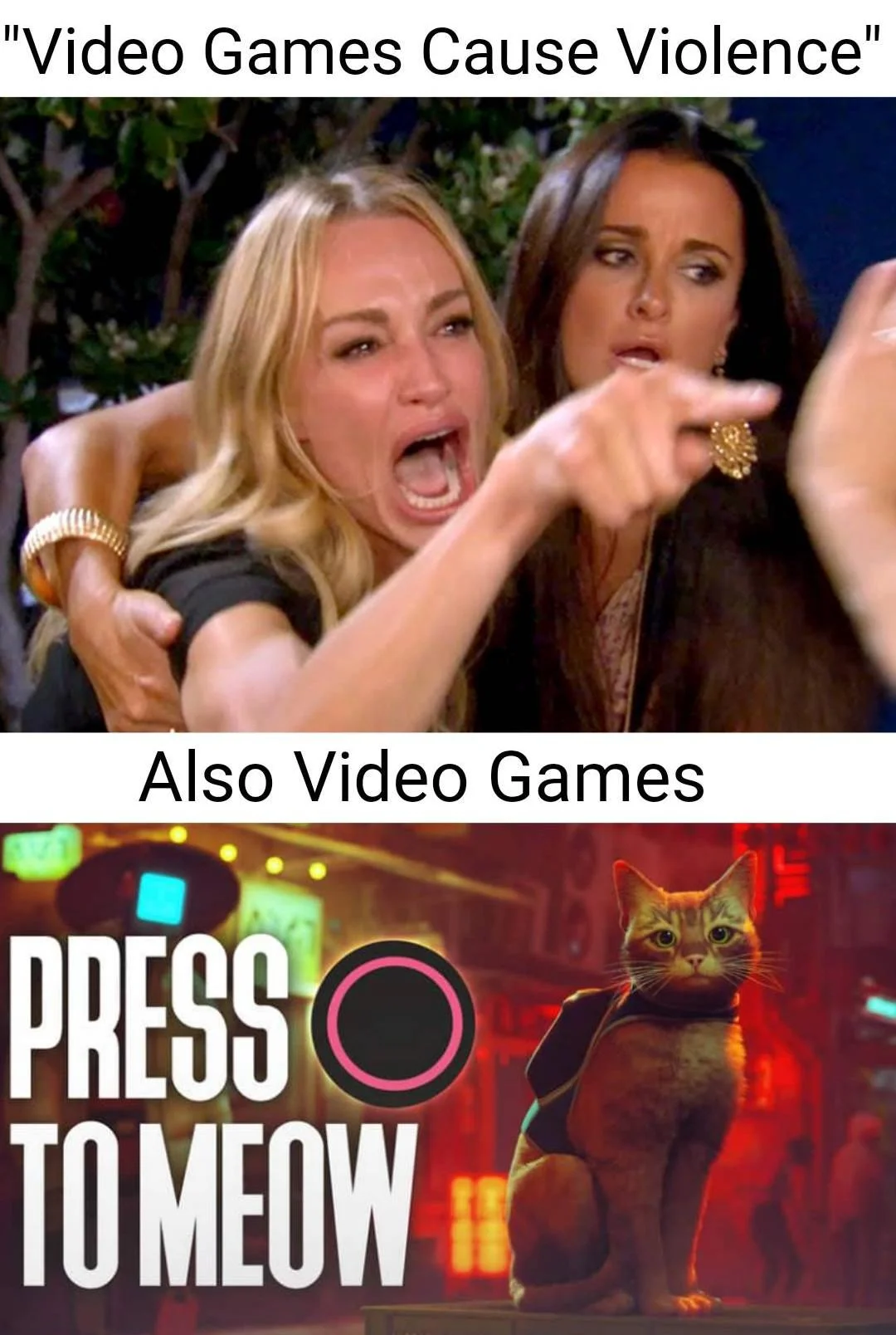 Video games lead to violence - Computer games, Stray, cat, Picture with text, Memes, Two women yell at the cat