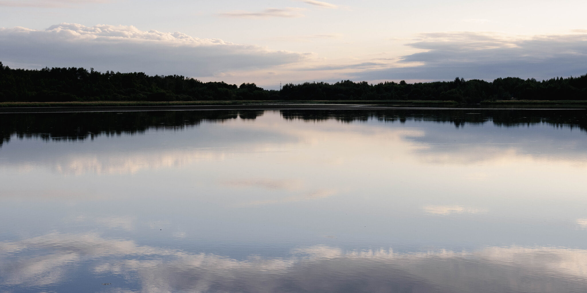 Lotus of the Khabarovsk Territory - My, The photo, Lotus, Landscape, Дальний Восток, Beginning photographer, Lake, Khabarovsk, Khabarovsk region, Flowers, Nature, Longpost