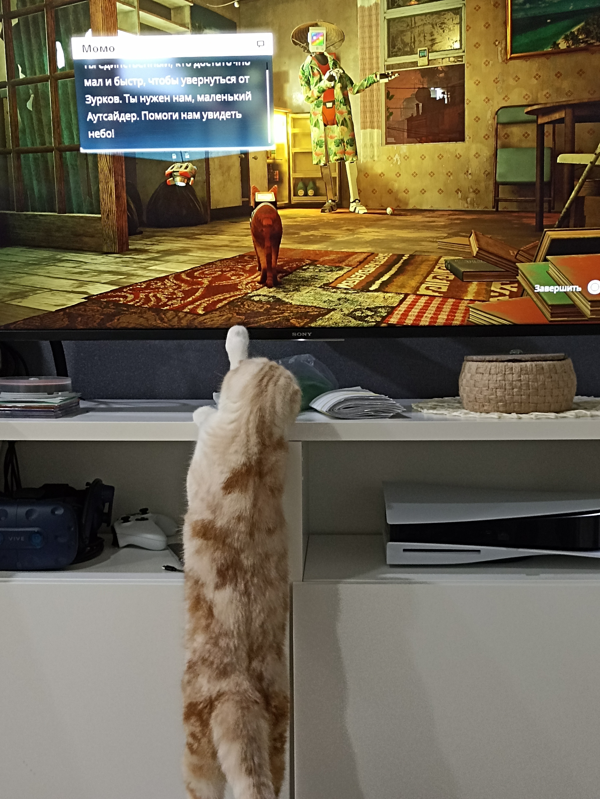 He likes Stray too - My, Stray, Games, Computer games, cat, Playstation, Animal games, Video game