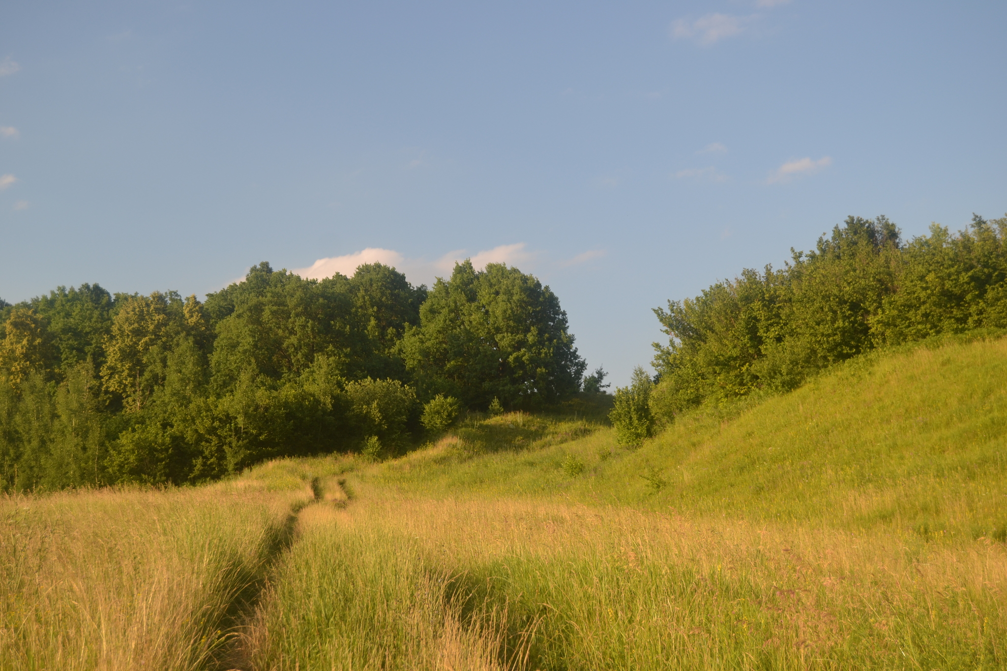 Voronovo, Chuvashia - My, Nature, The nature of Russia, Chuvashia, The photo, Longpost