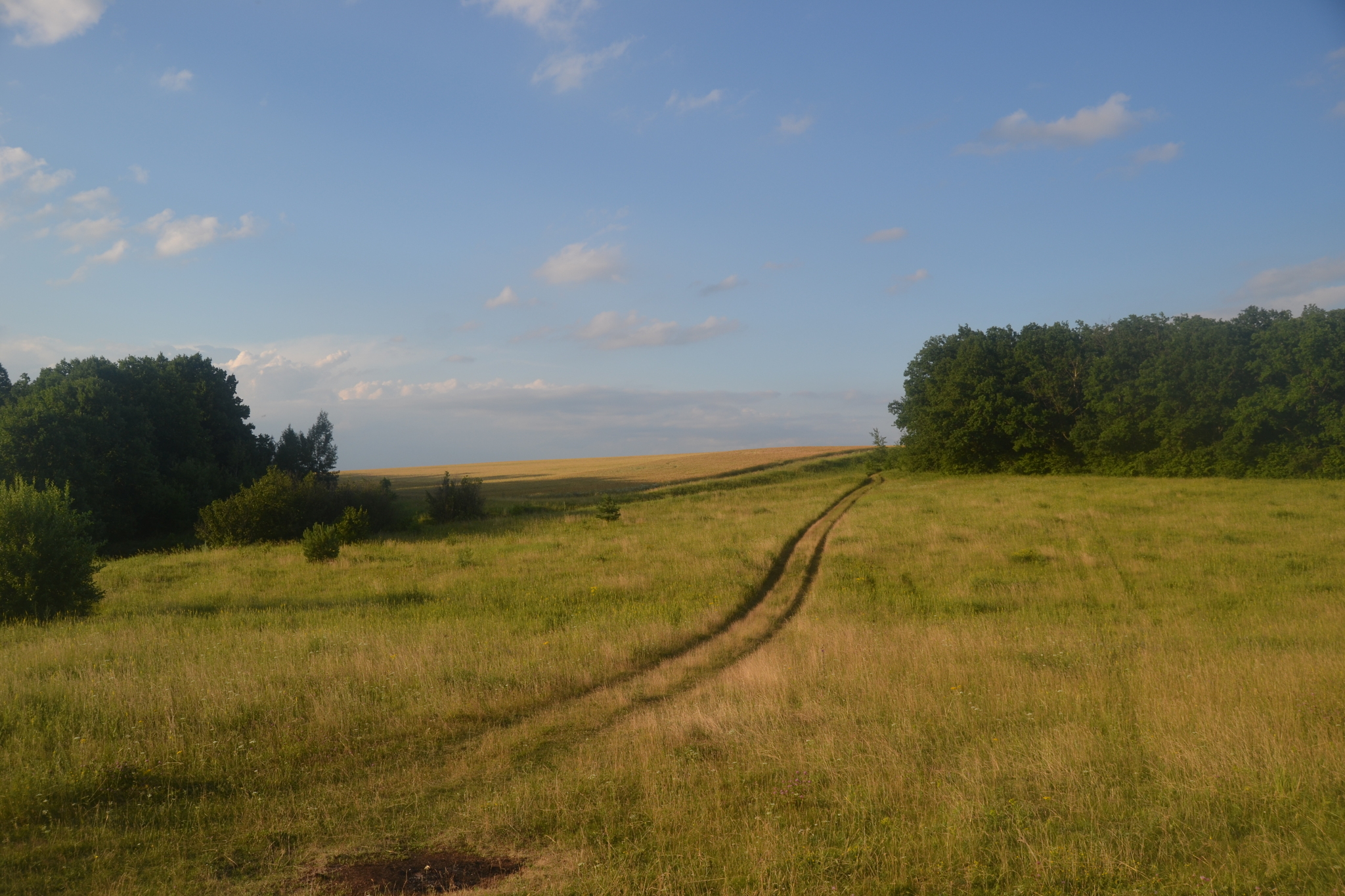 Voronovo, Chuvashia - My, Nature, The nature of Russia, Chuvashia, The photo, Longpost