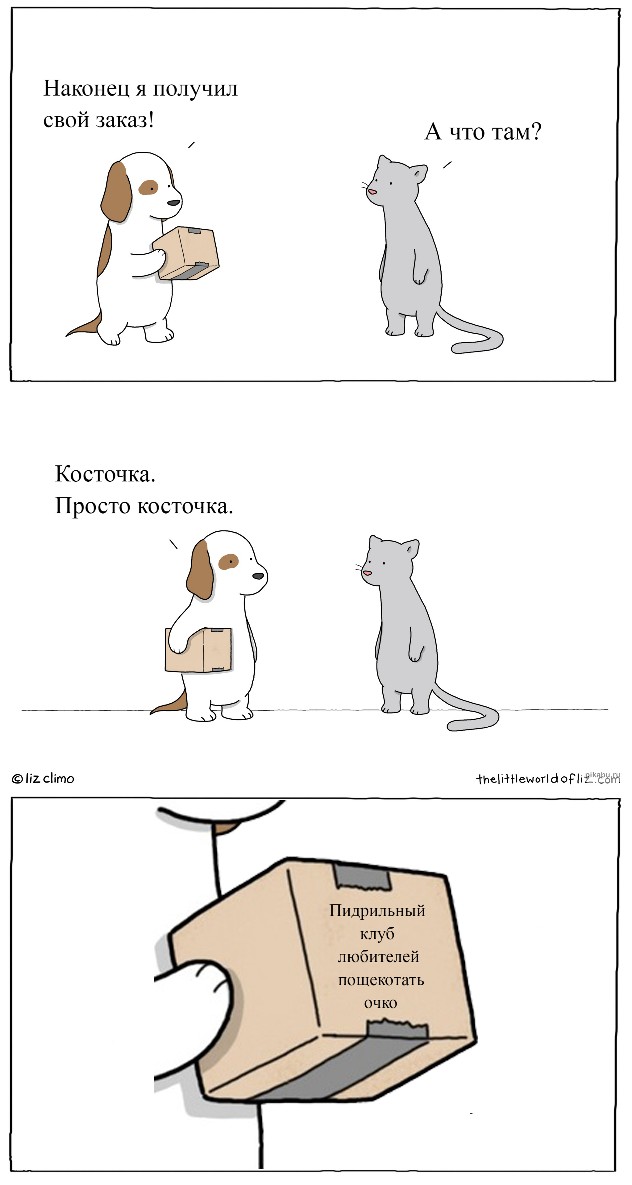 Reply to the post So unexpected and nice ... - Comics, Lizclimo, Dog, cat, Package, Presents, Humor, Order, Translated by myself, Remake, Money card two barrels, Dmitry Puchkov, Reply to post