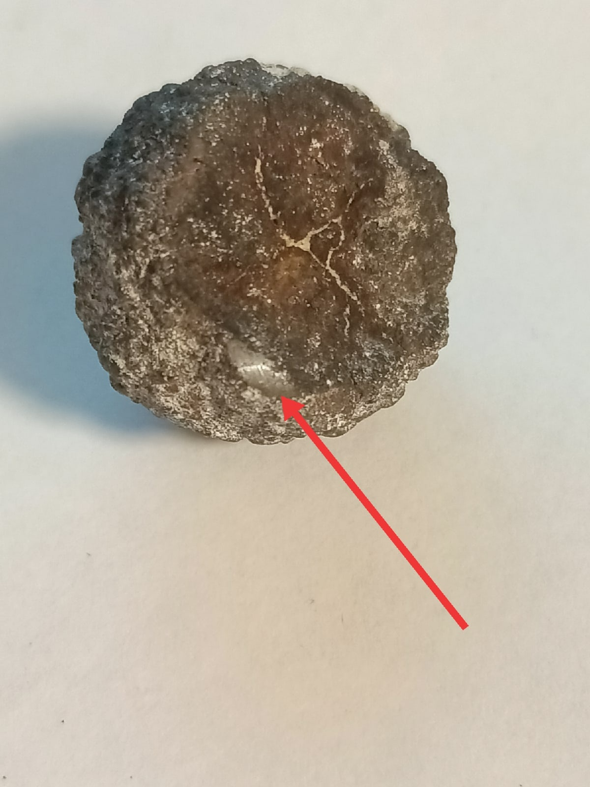 Help identifying a stone - My, A rock, The rocks, Minerals, Geology, Mineralogy, Definition, Longpost