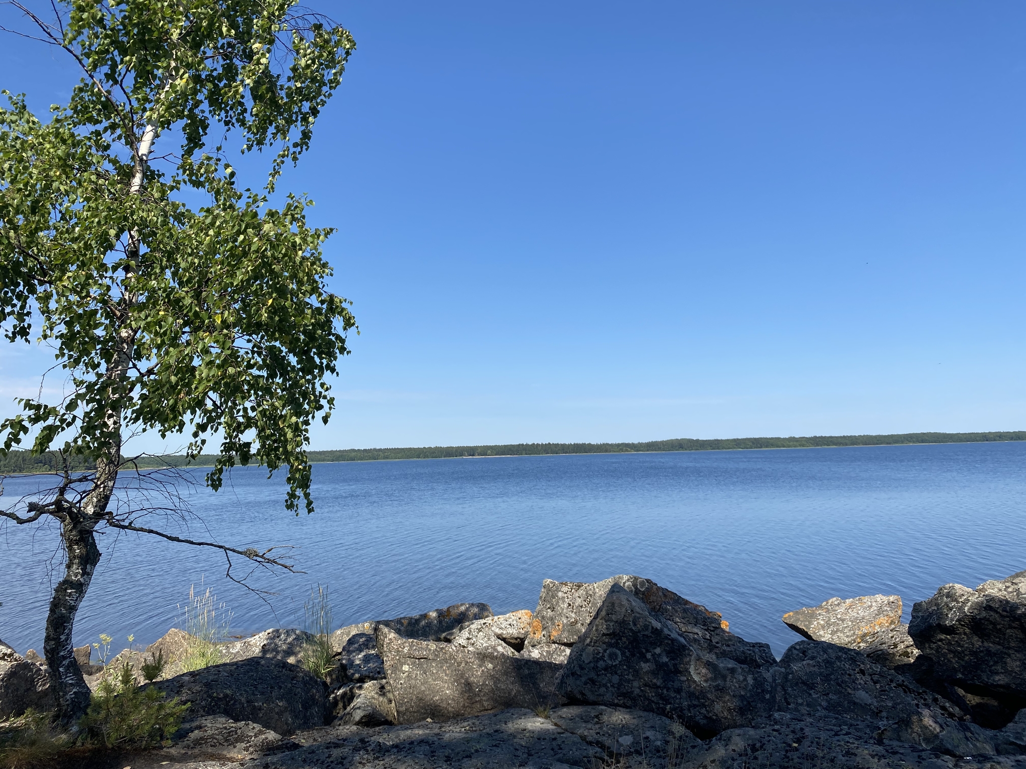 Sunrises and sunsets around Vyborg - My, beauty, The photo, Vyborg, Longpost