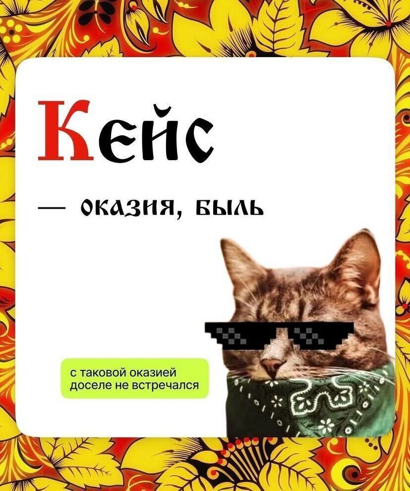 Old Russian IT dictionary (10 pictures) - IT humor, Picture with text, Dictionary, Terms, Old Russian language, IT, Longpost, cat