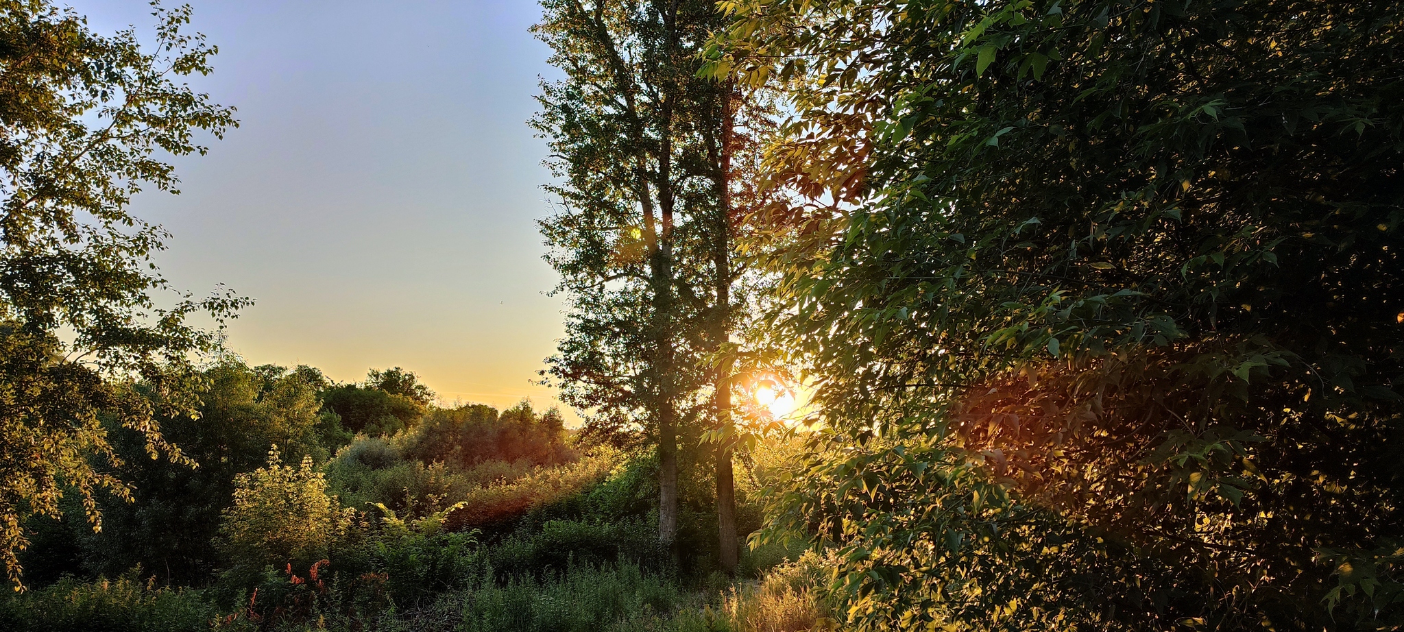 A piece of Naro-Fominsk - My, beauty, The sun, Nature, Sunset, No filters