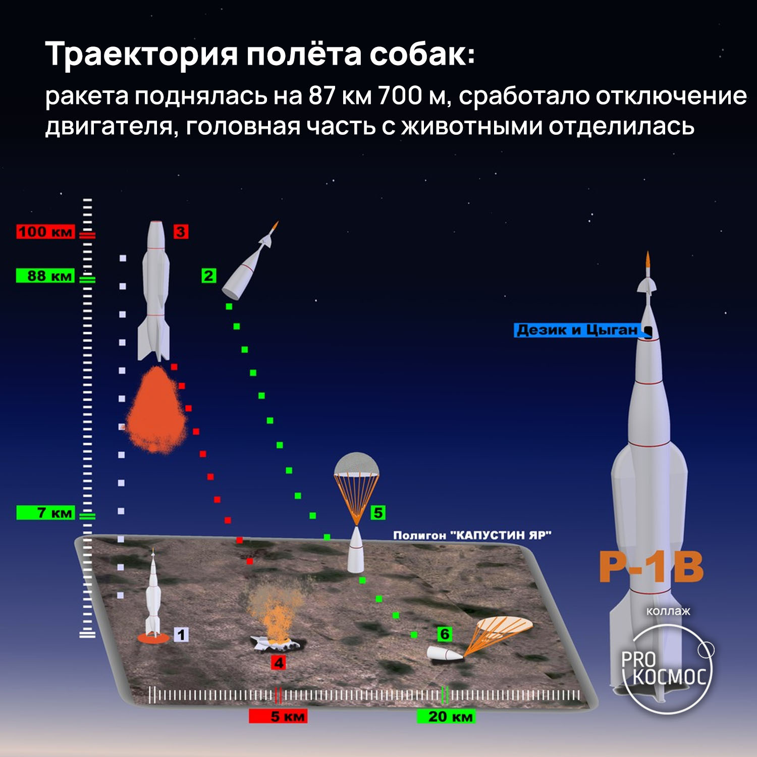 Коснуться космоса и вернуться домой: 71 год назад собачки Дезик и Цыган  слетали в почти космос | Пикабу