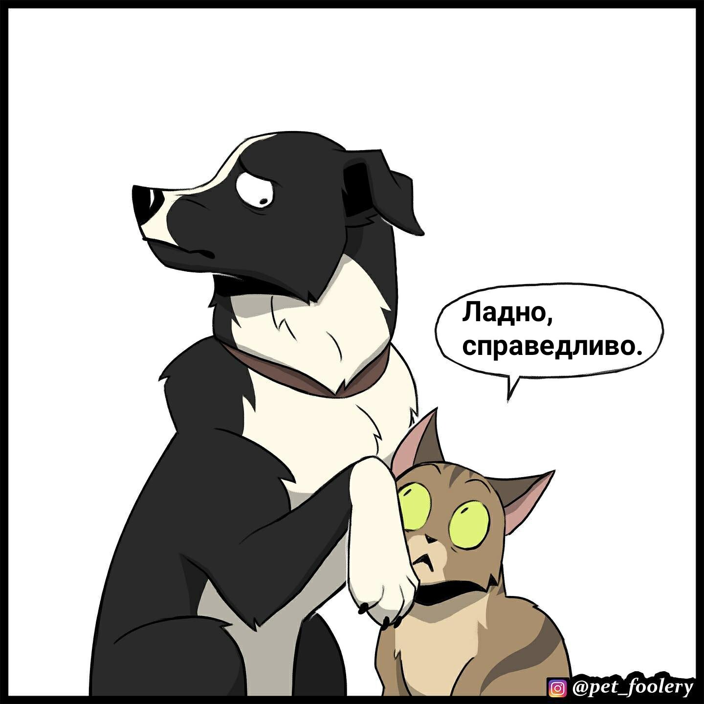 Овчарка - Овцы, Собака, Комиксы, Домашние животные, Pet Foolery, Видео, Длиннопост, Гифка с предысторией, Кот