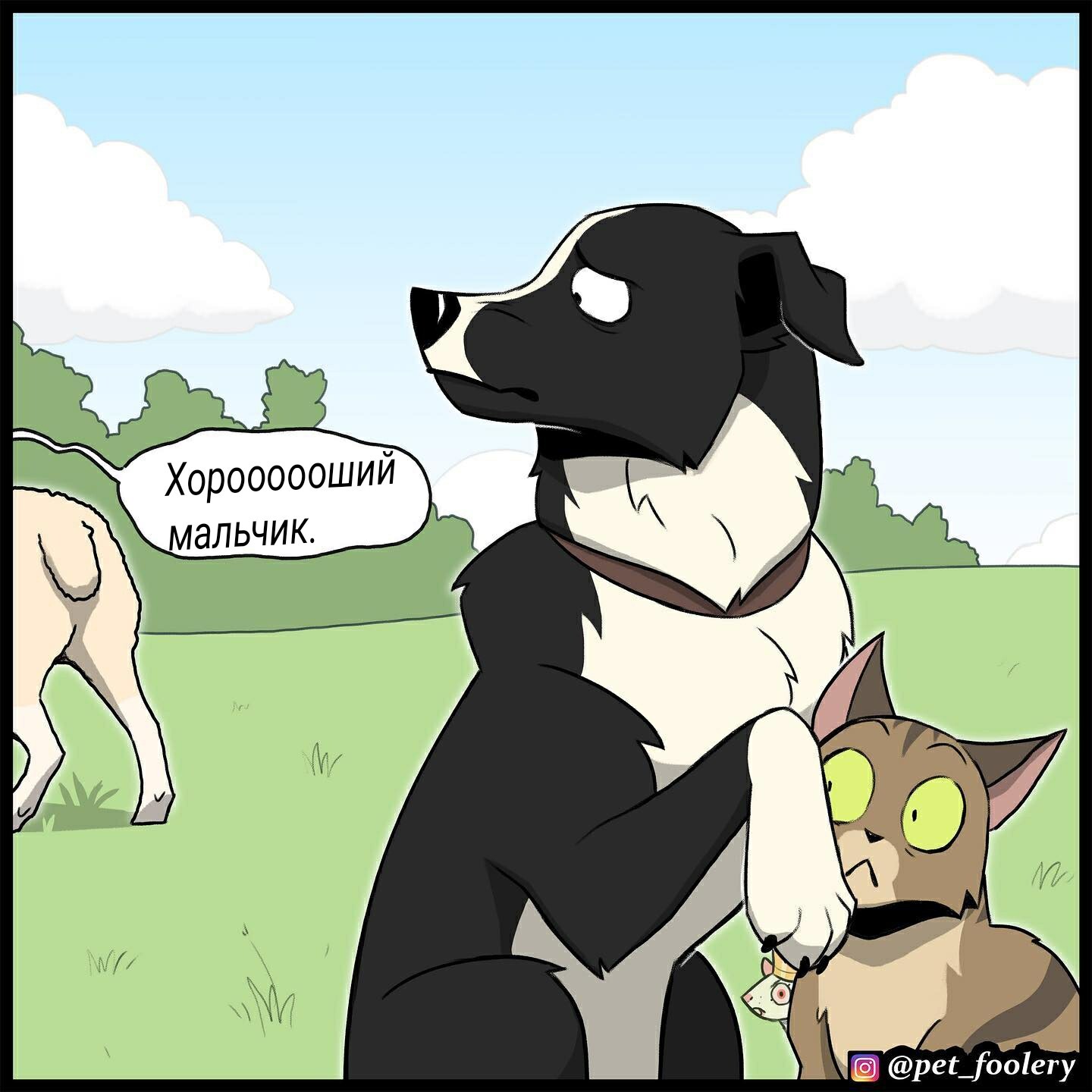 Sheepdog - Sheeps, Dog, Comics, Pets, Pet foolery, Video, Longpost, GIF with background, cat