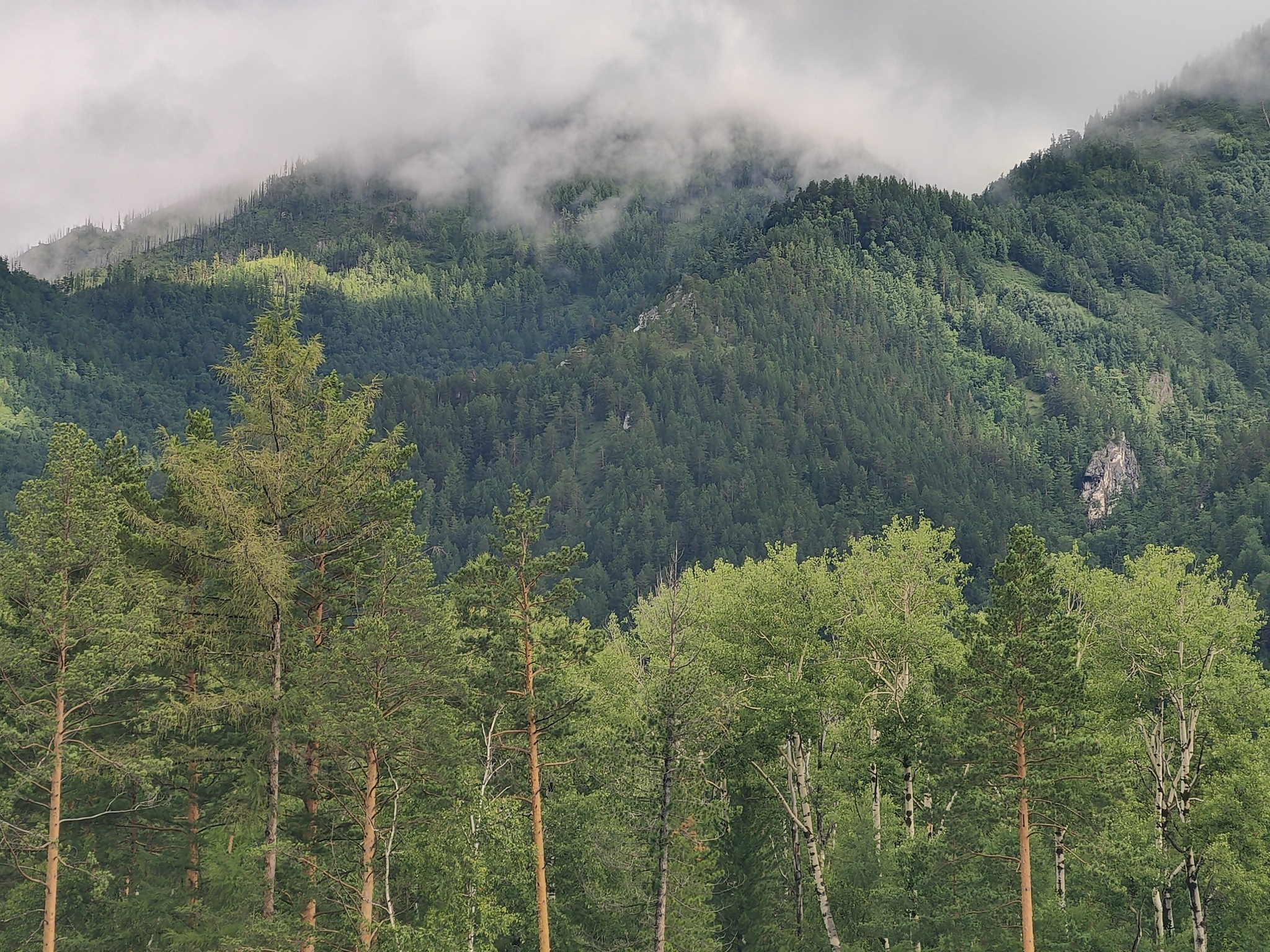 Arshan, Buryatia - My, Arshan, Buryatia, The mountains, beauty, Sayan, Longpost