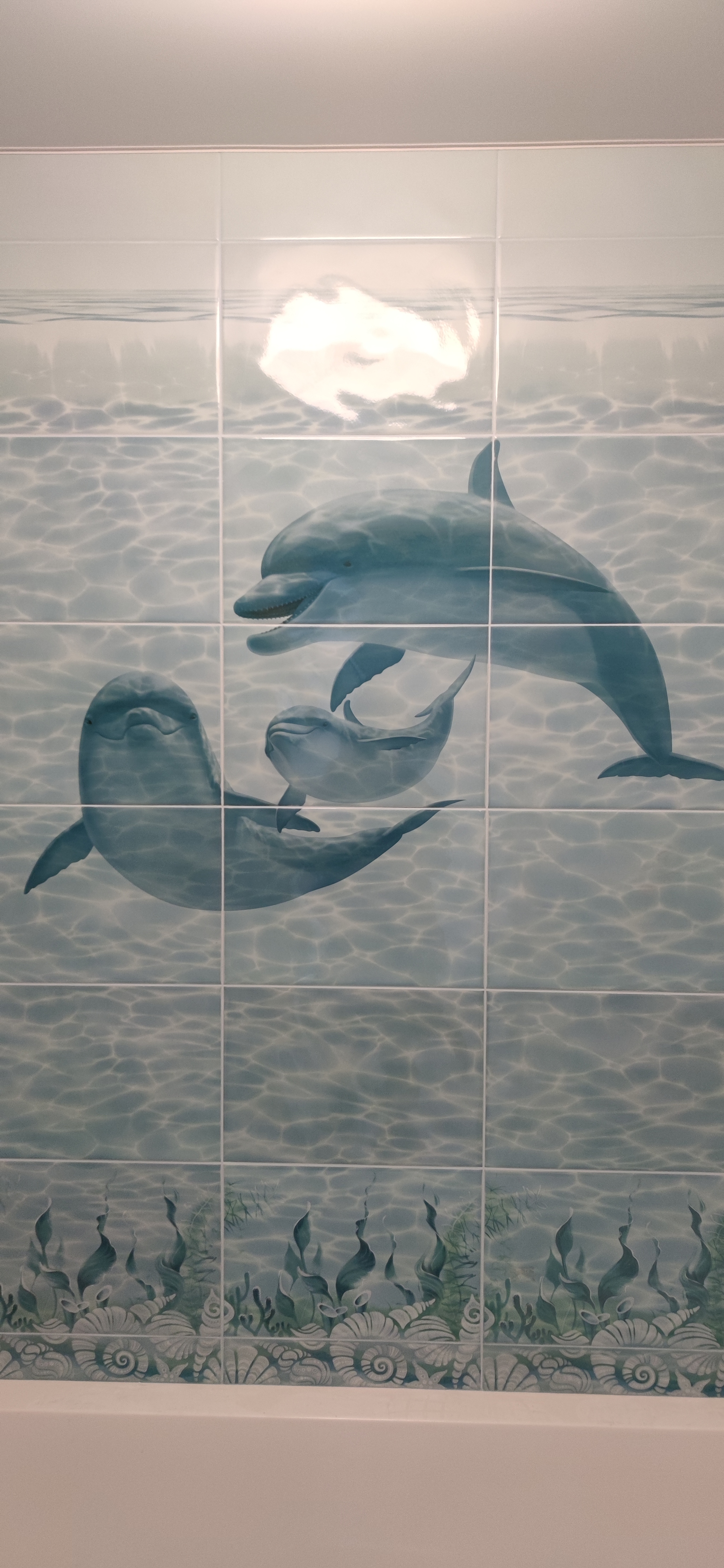 It was 2022, and the dolphins are still with us)) - My, Repair of the bathroom, Dolphinarium, Longpost