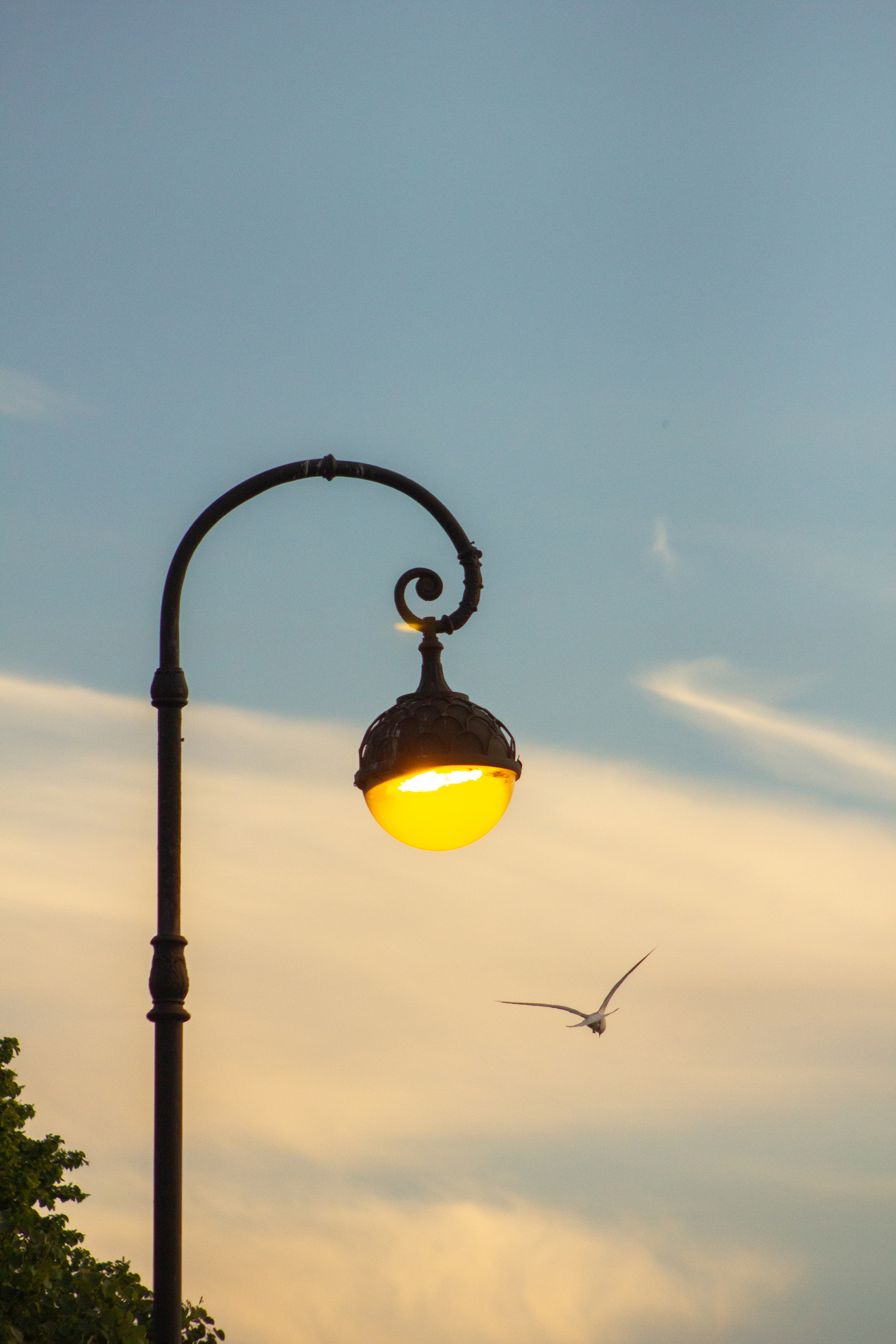 Petersburg lanterns - My, Saint Petersburg, The photo, Longpost