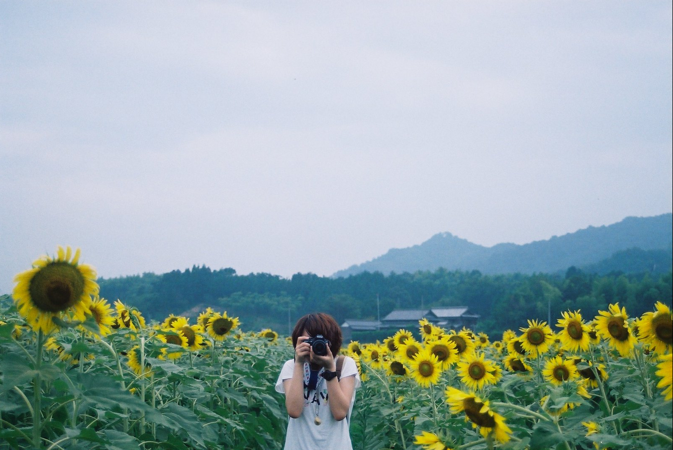 Summertime - Фотография, Пленка, Лето, Пейзаж, Пляжный отдых, 35мм, Длиннопост