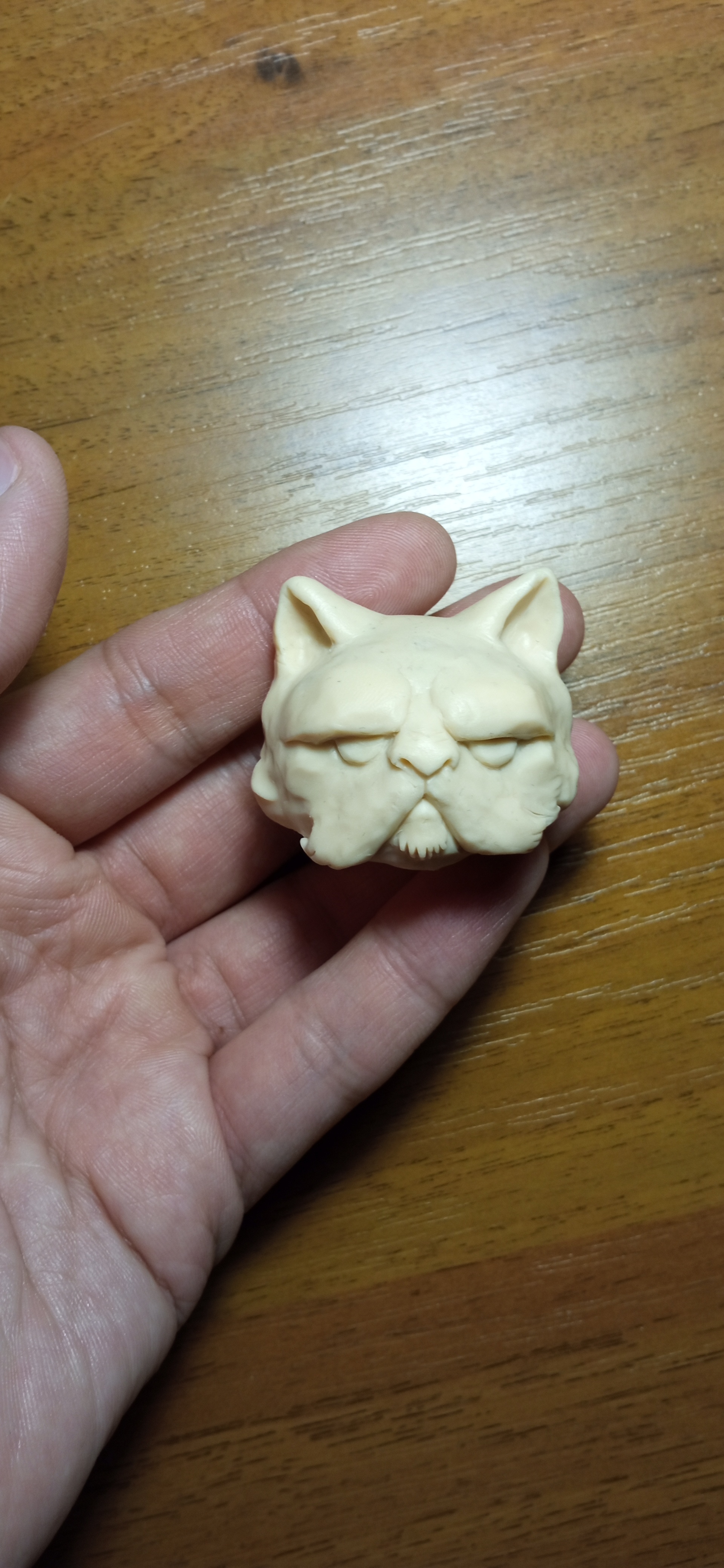 Cat Inquisitor from Warhammer 40k - My, Warhammer 40k, Warhammer, cat, Polymer clay, Inquisitor, Лепка, Figurines, Miniature, Longpost