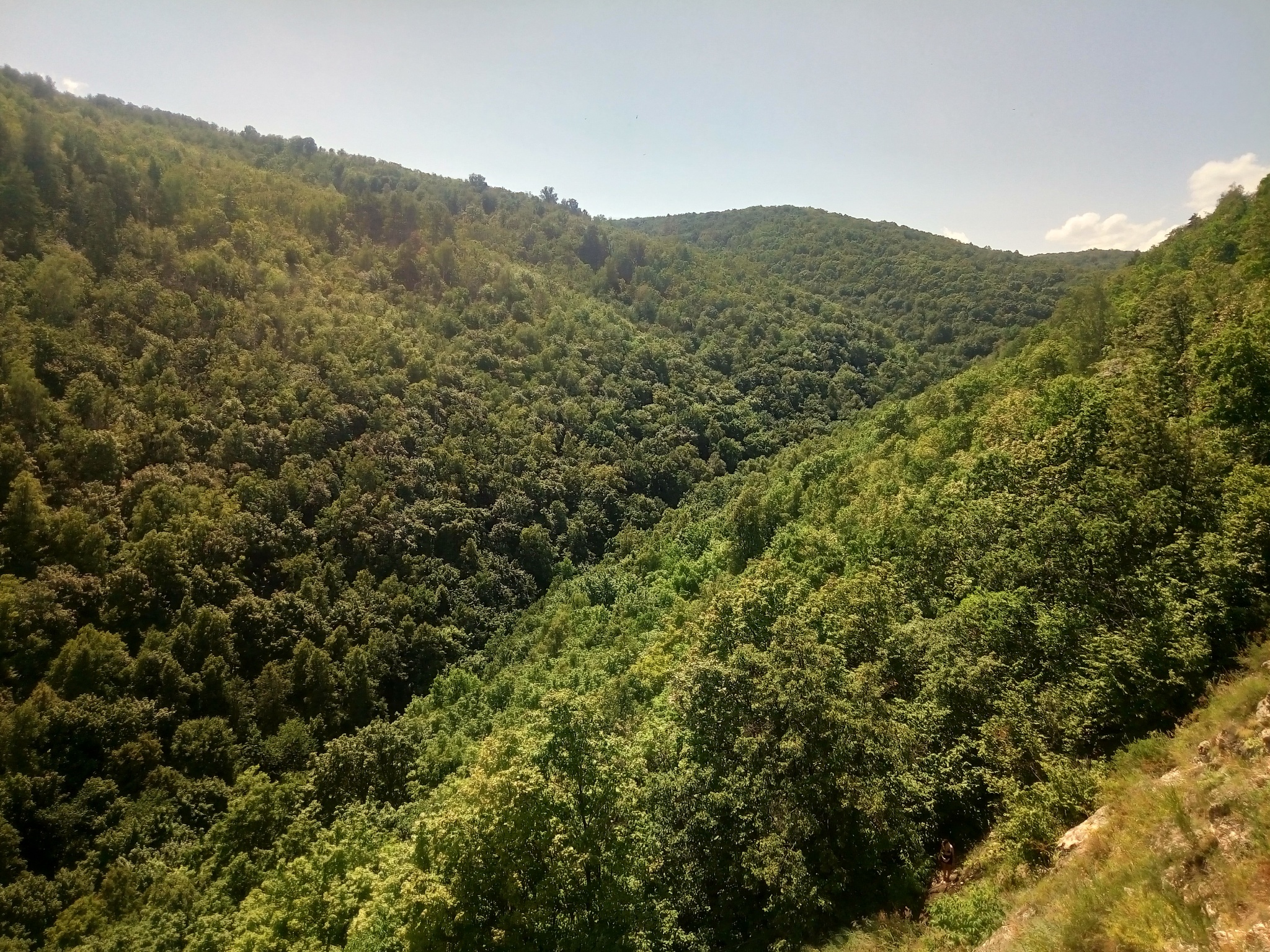 Тур выходного дня. Село Ширяево, Самарская Лука - Моё, Река Волга, Лето, Красота природы, Фотография, Путешествия, Отдых, Мобильная фотография, Длиннопост