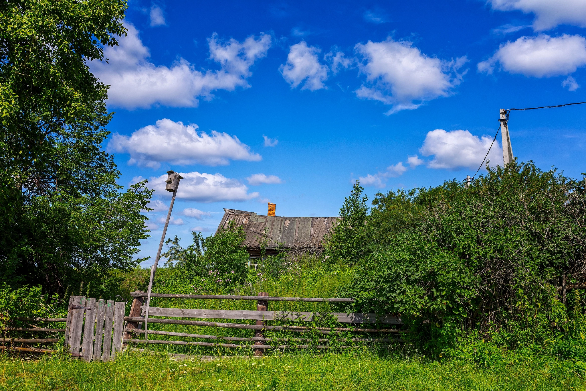 In search of Ivan Chai - My, Tobolsk, Blooming Sally, The photo, Landscape, Life stories, Longpost