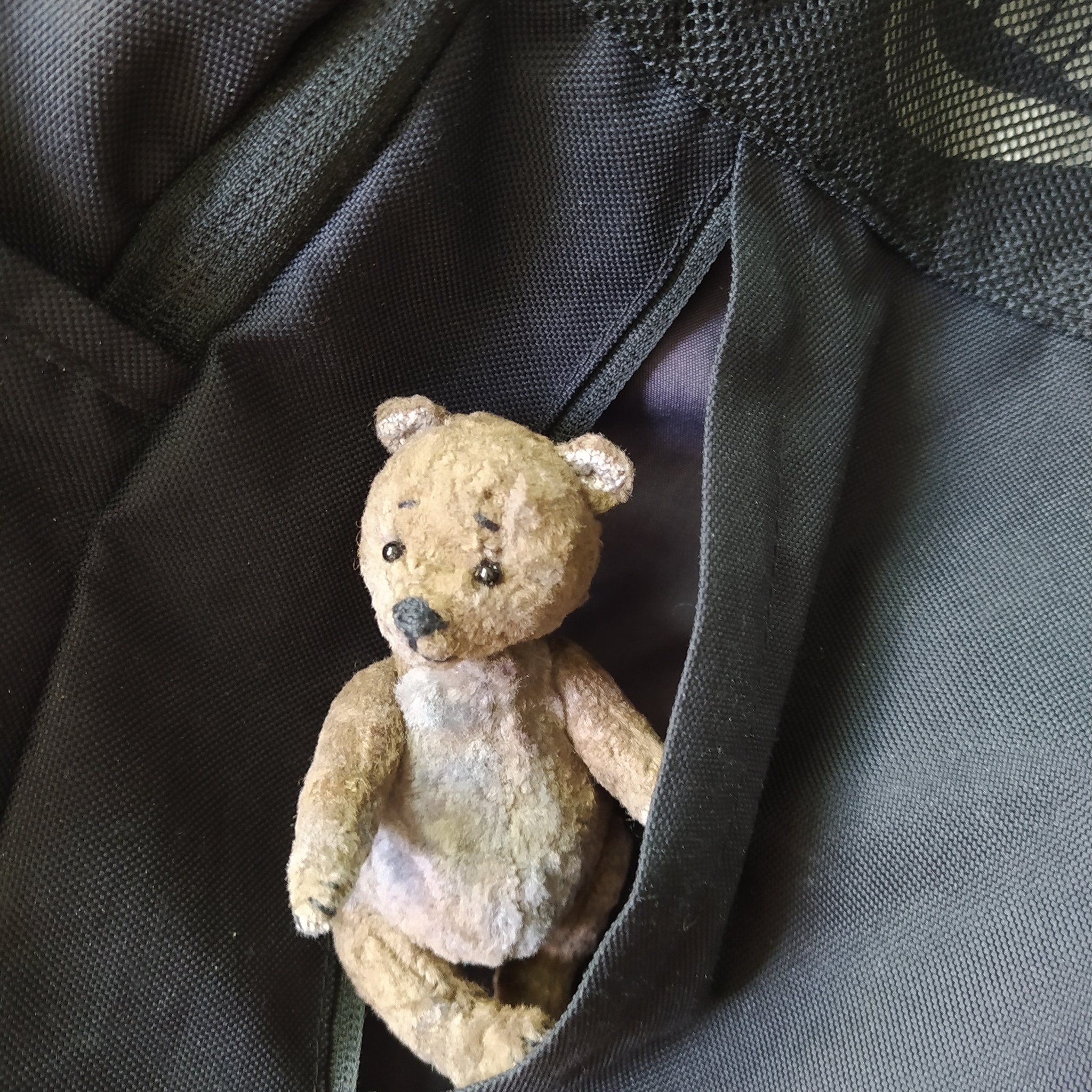 Toy bear - My, Needlework without process, Toys, Longpost