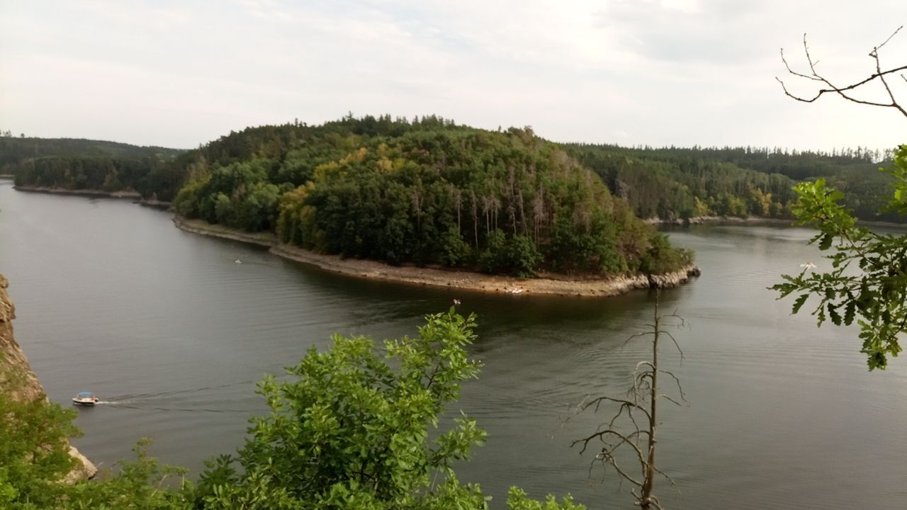 To the water! - My, Czech, Saturday, Walk, Forest, River, Beach, Mobile photography, Helicopter, Beautiful view, Video, Longpost