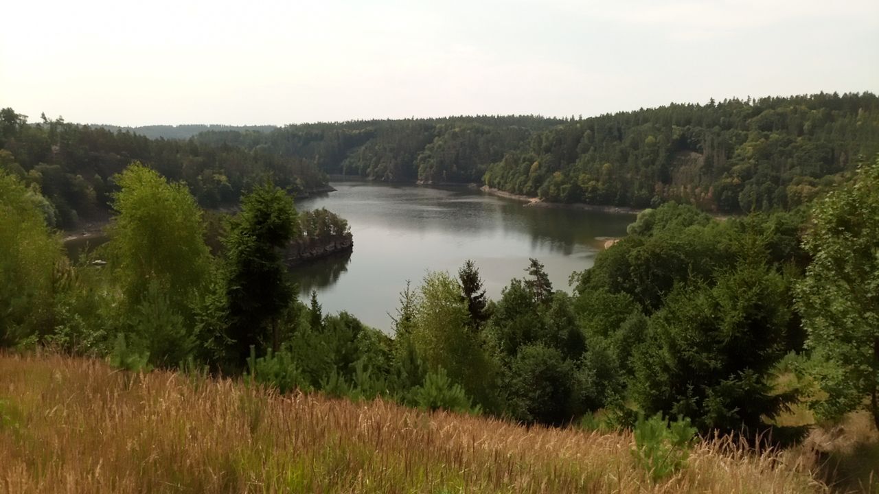 To the water! - My, Czech, Saturday, Walk, Forest, River, Beach, Mobile photography, Helicopter, Beautiful view, Video, Longpost